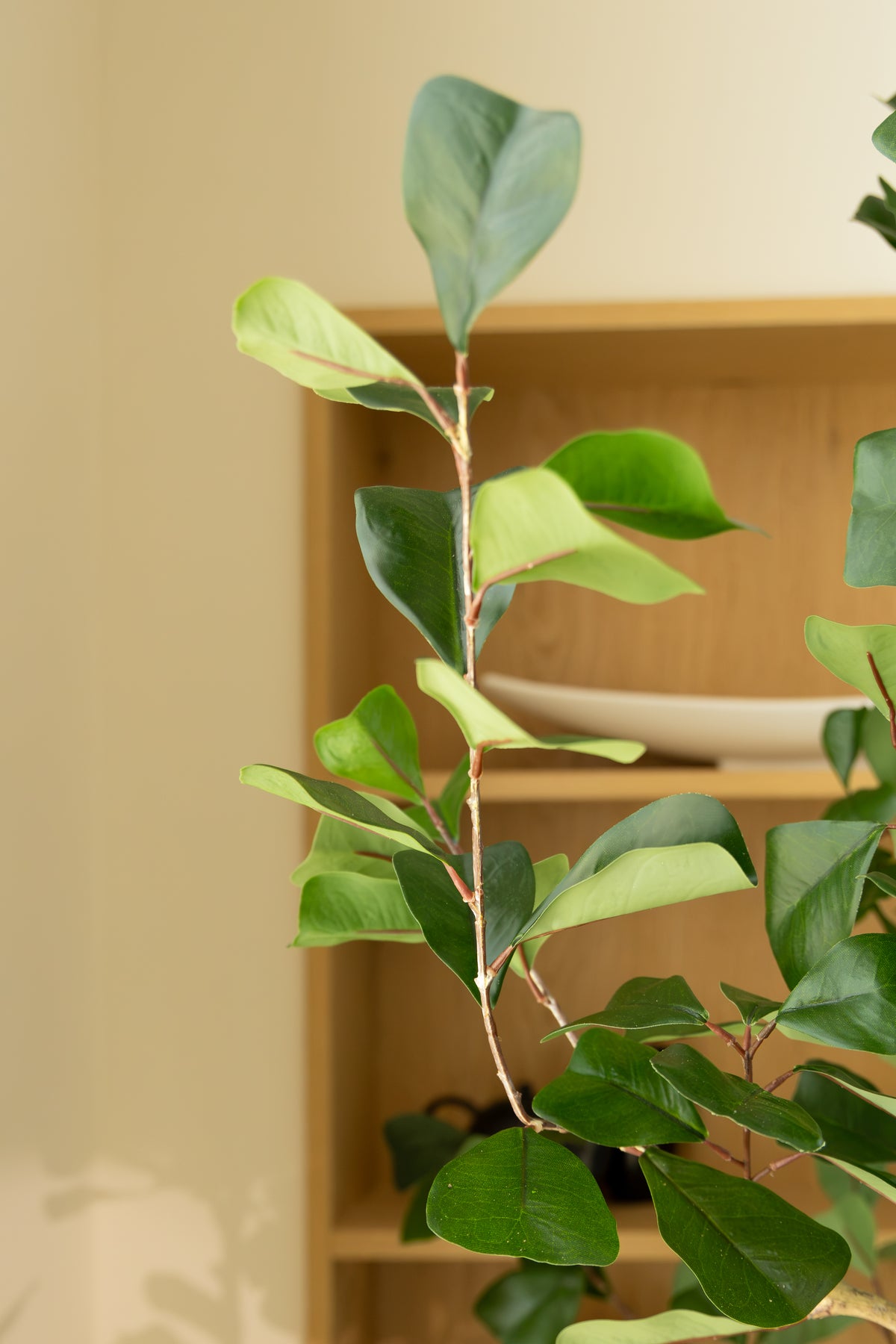 Ficus Triangularis Kunstplant 180cm