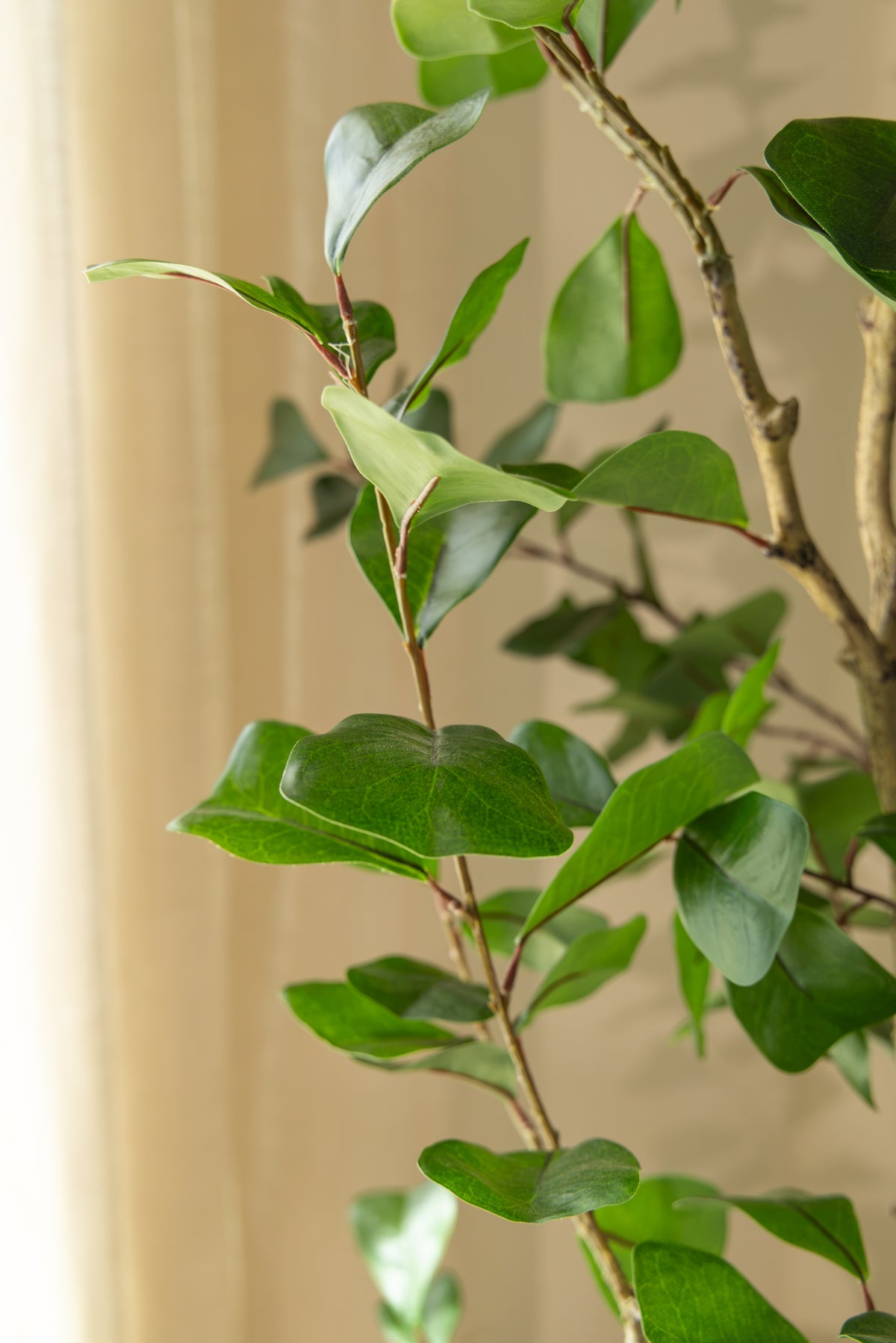 Ficus Triangularis Kunstplant 180cm