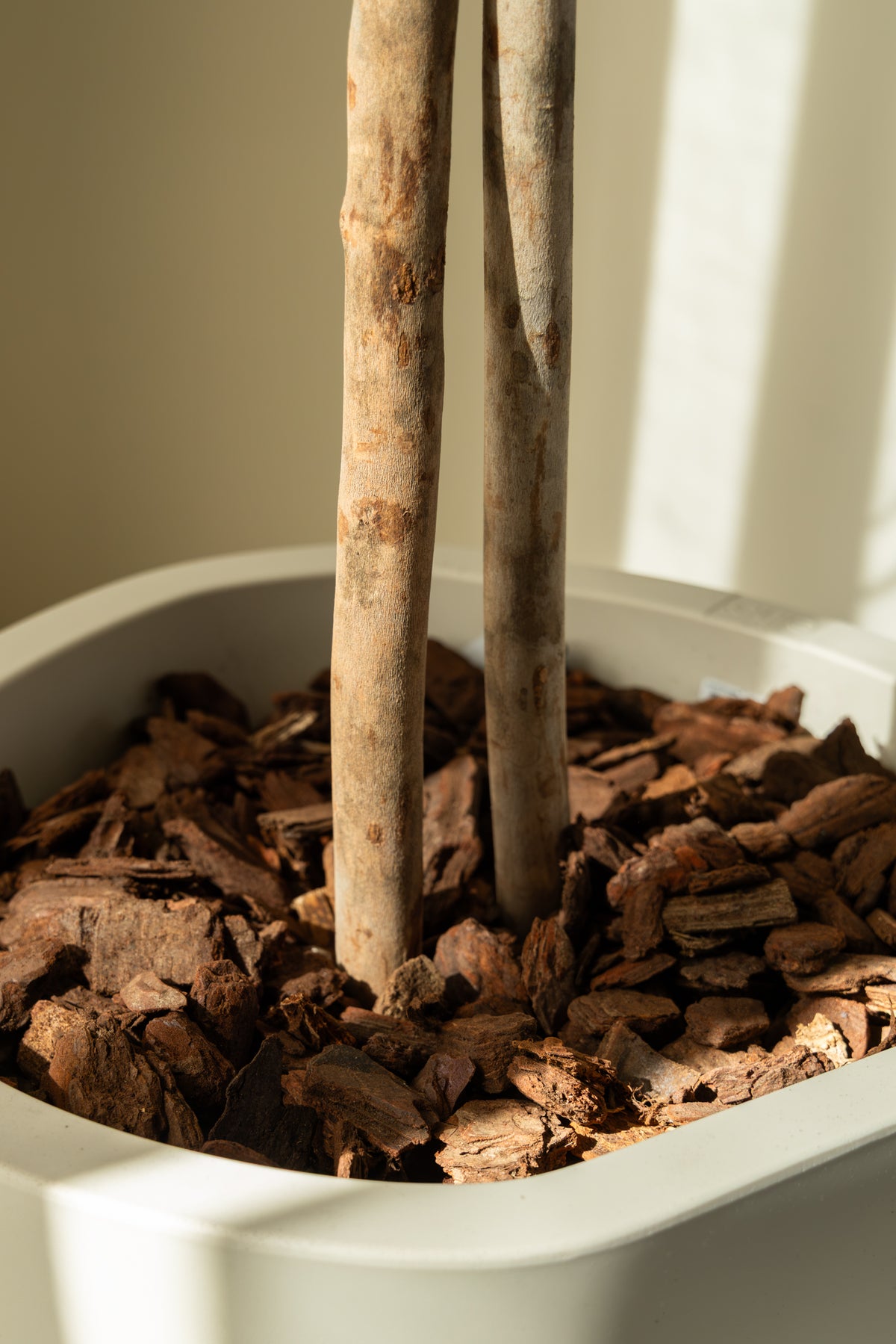 Kunst Wilgenboom 180cm