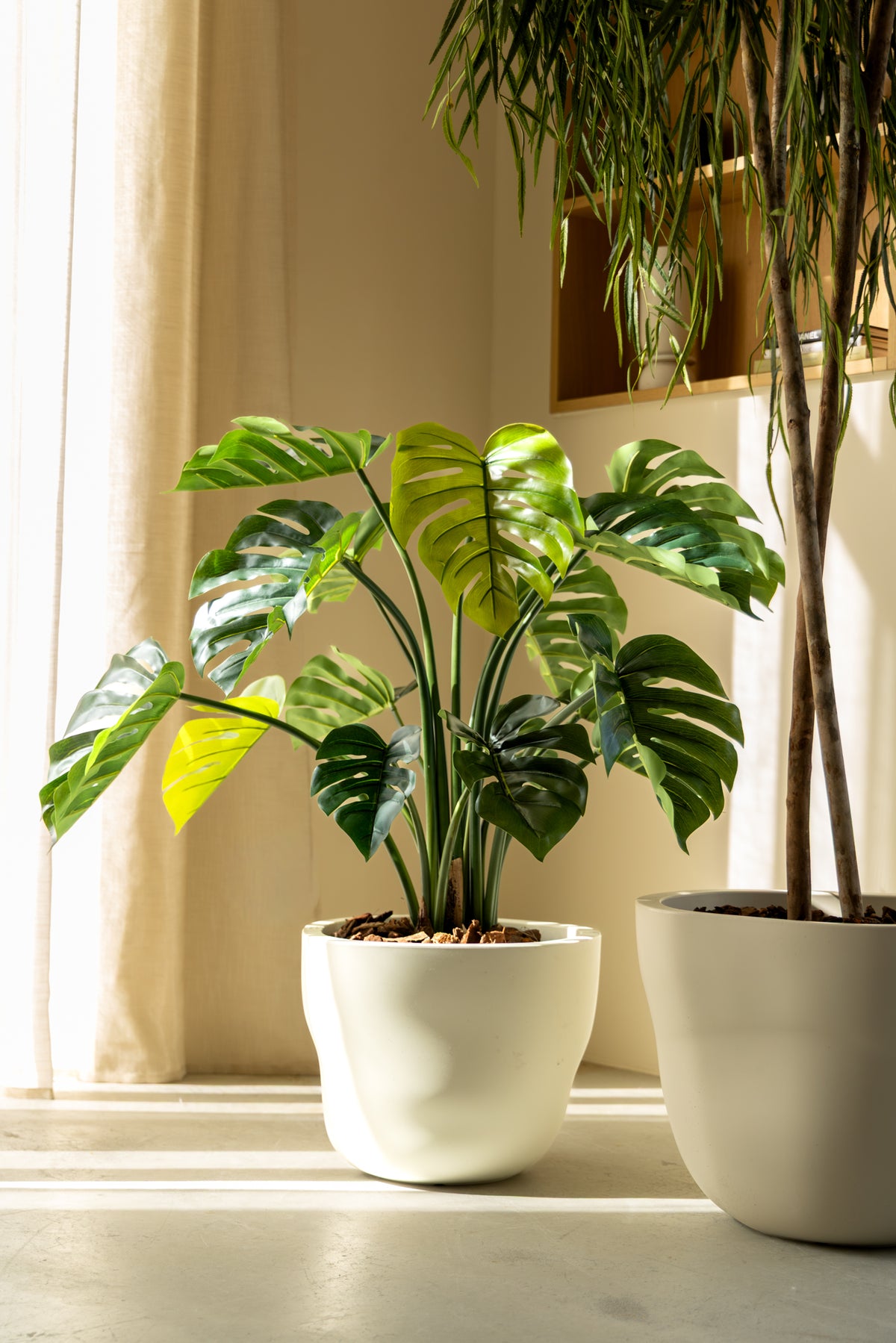 Monstera Kunstplant 80cm