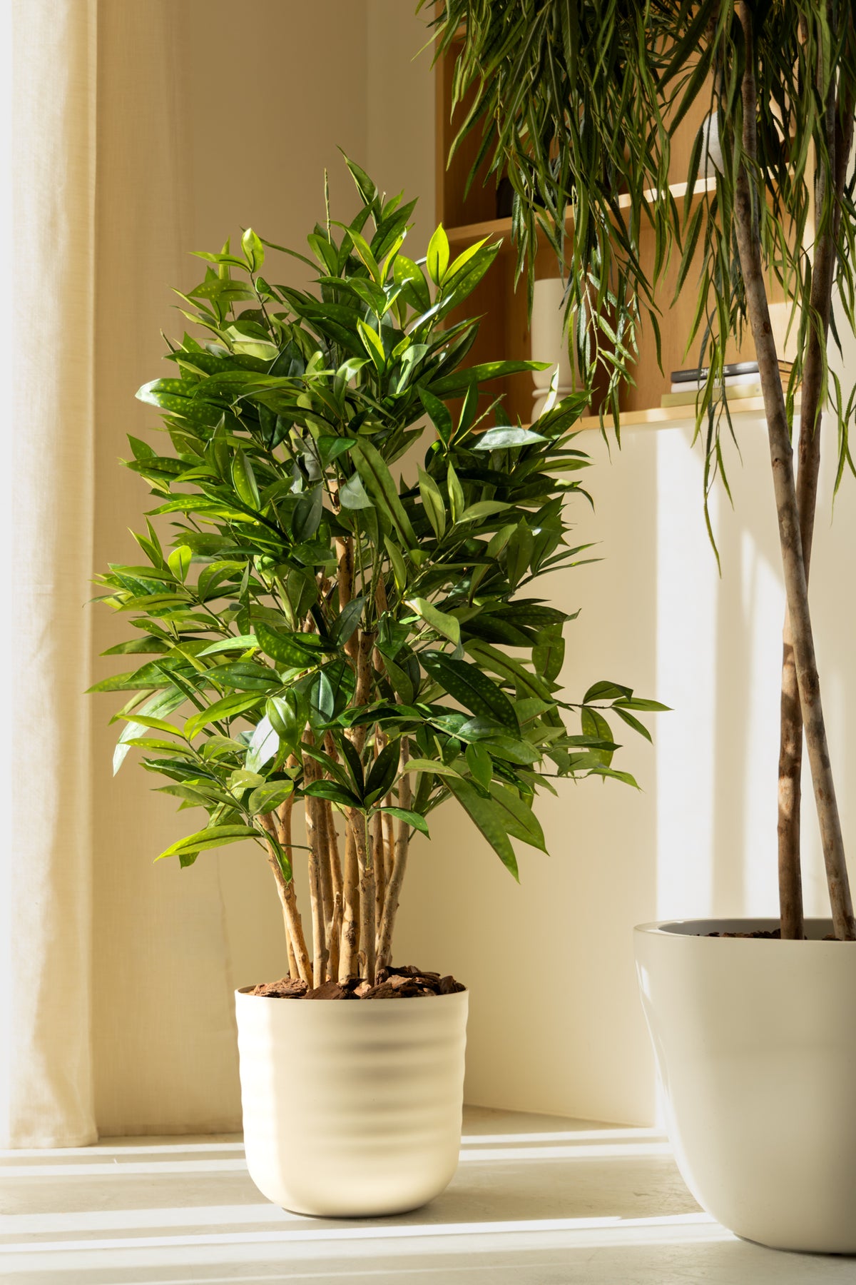 Dracaena Surculosa Kunstplant 120cm