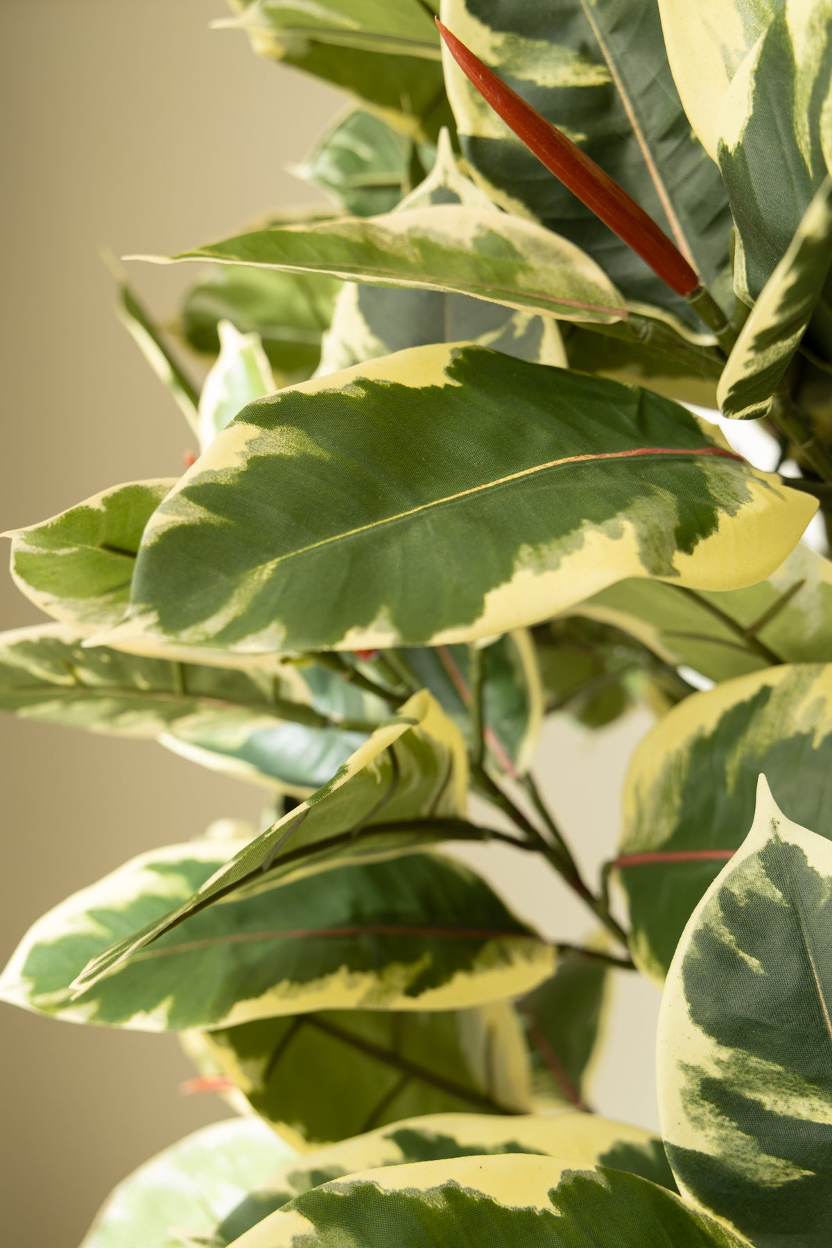 Ficus Elastica Kunstplant 90cm
