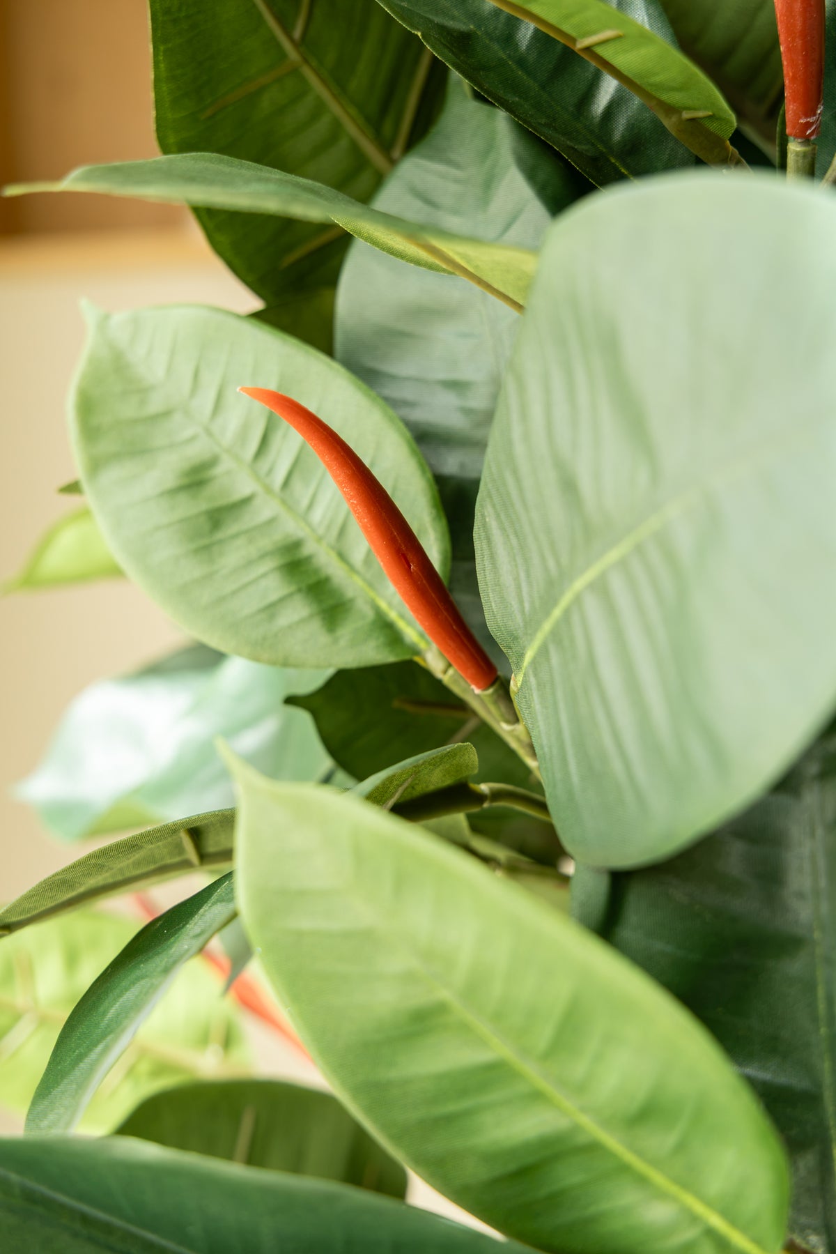 Ficus Elastica Kunstplant 90cm