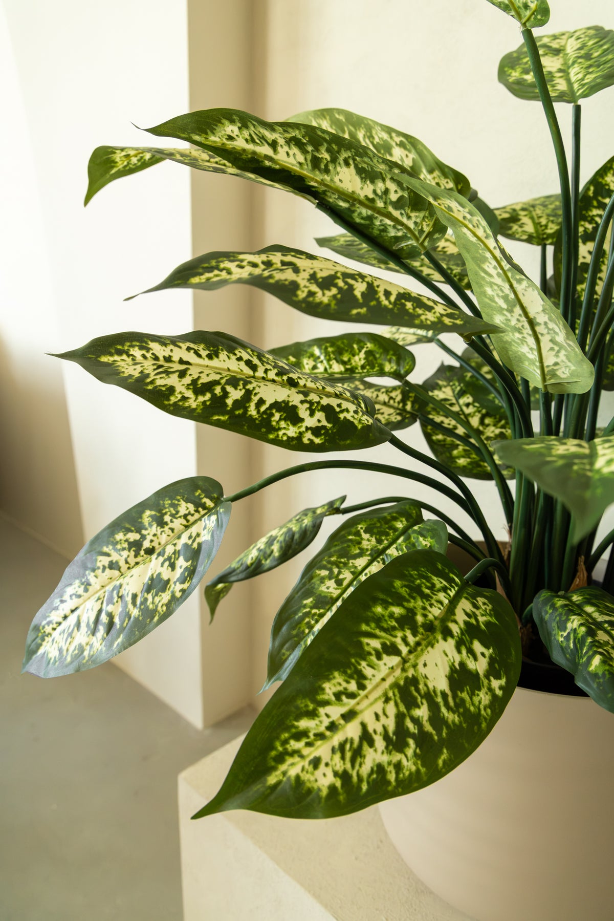 Dieffenbachia Kunstplant 70cm
