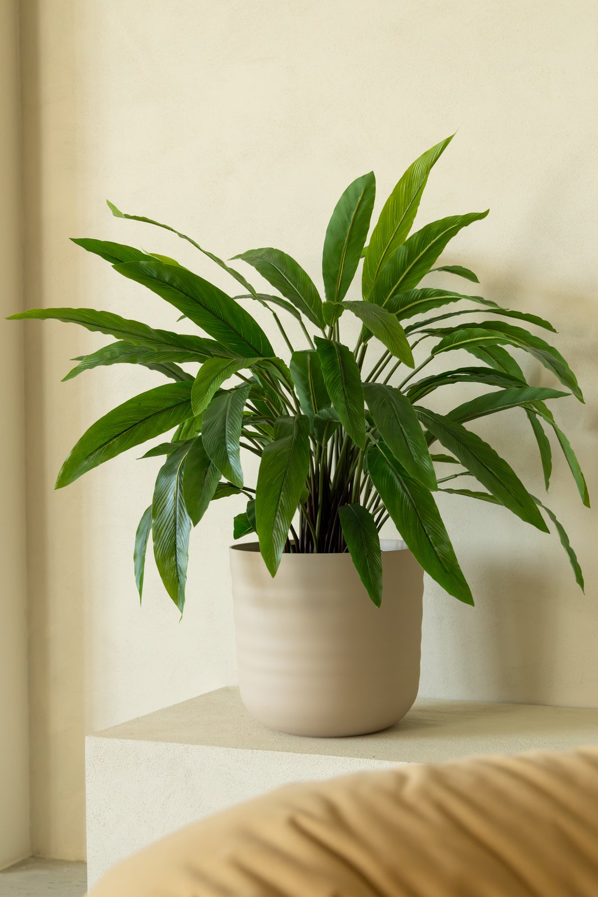 Calathea Kunstplant 60cm