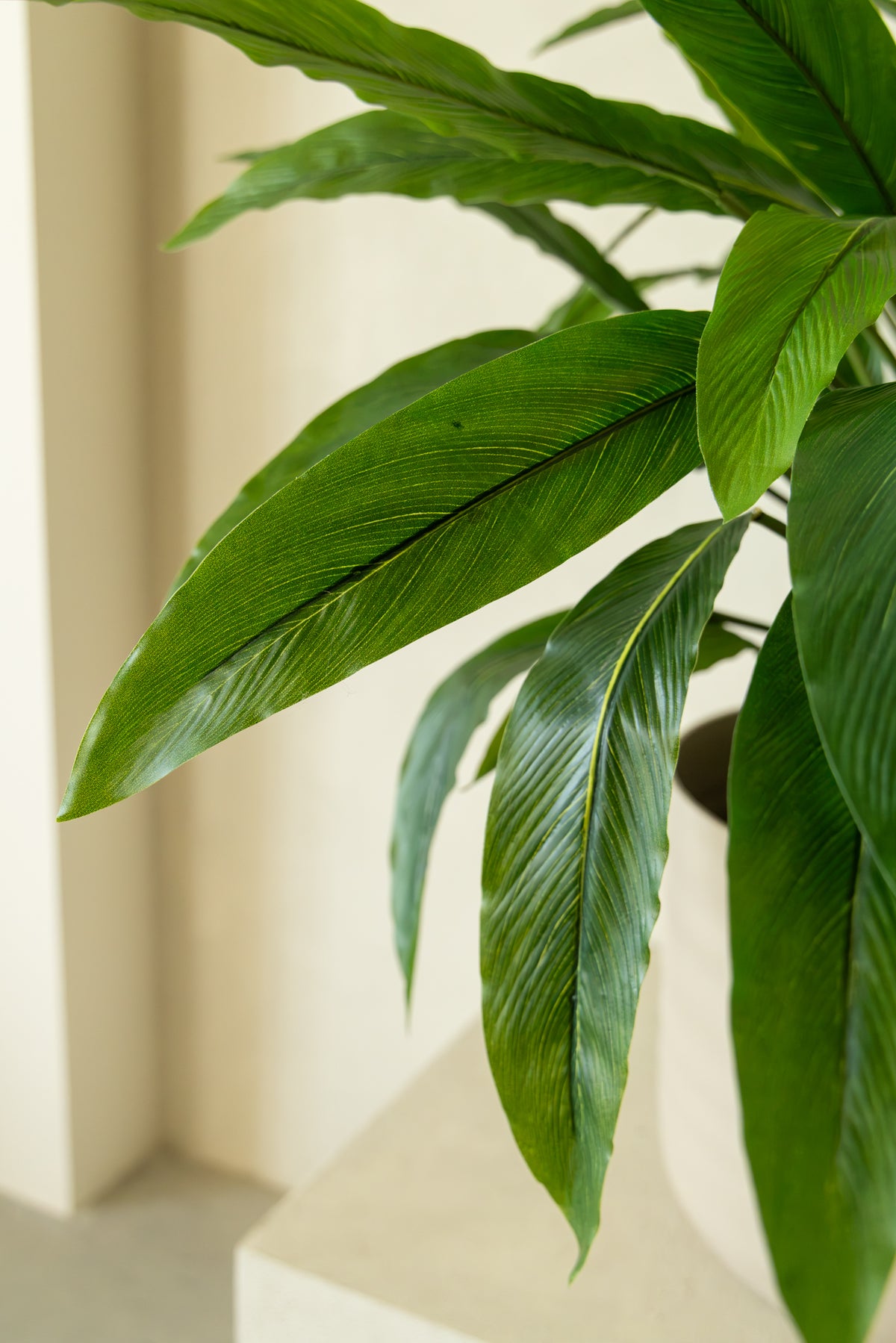 Calathea Kunstplant 60cm