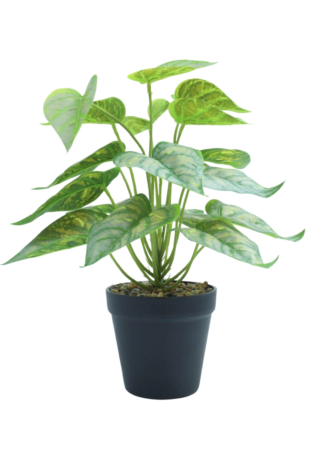 Caladium Kunstplant 32cm