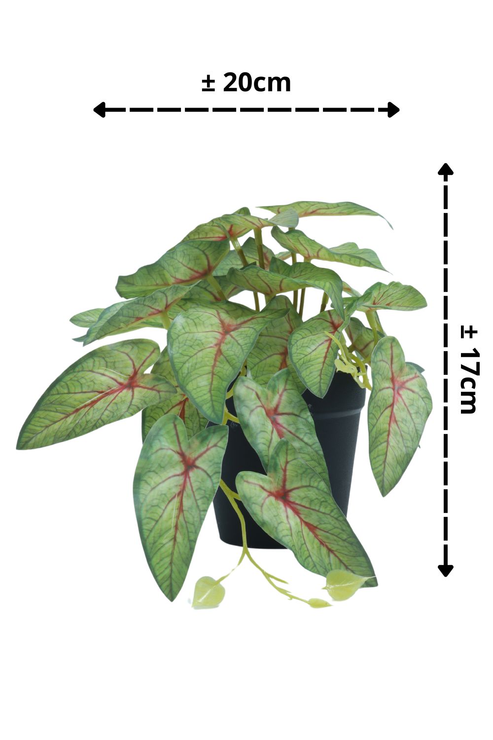 Caladium_kunstplant_17cm