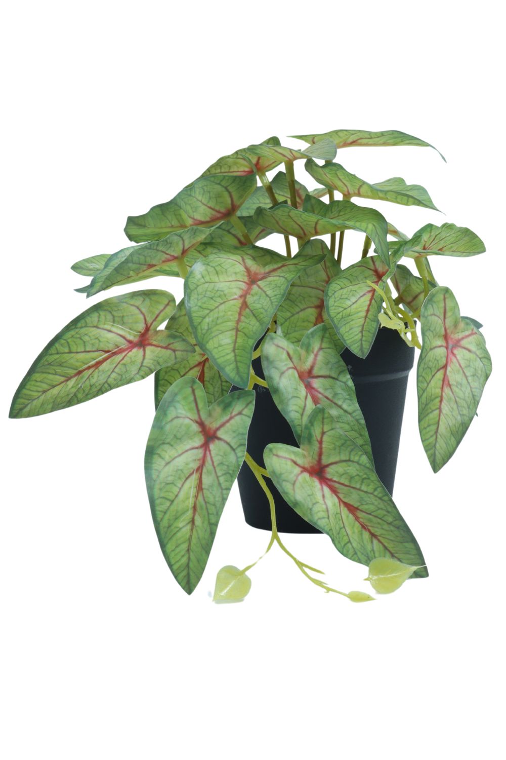 Caladium kunstplant 17cm