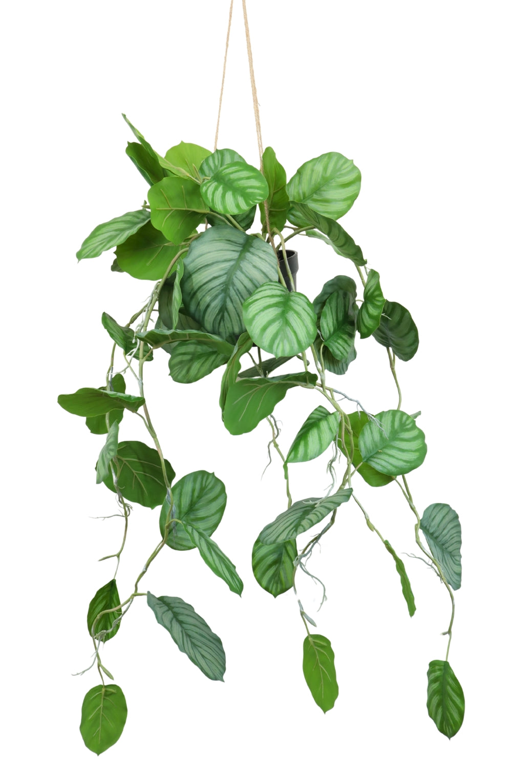 Calathea Kunst Hangplant 95cm