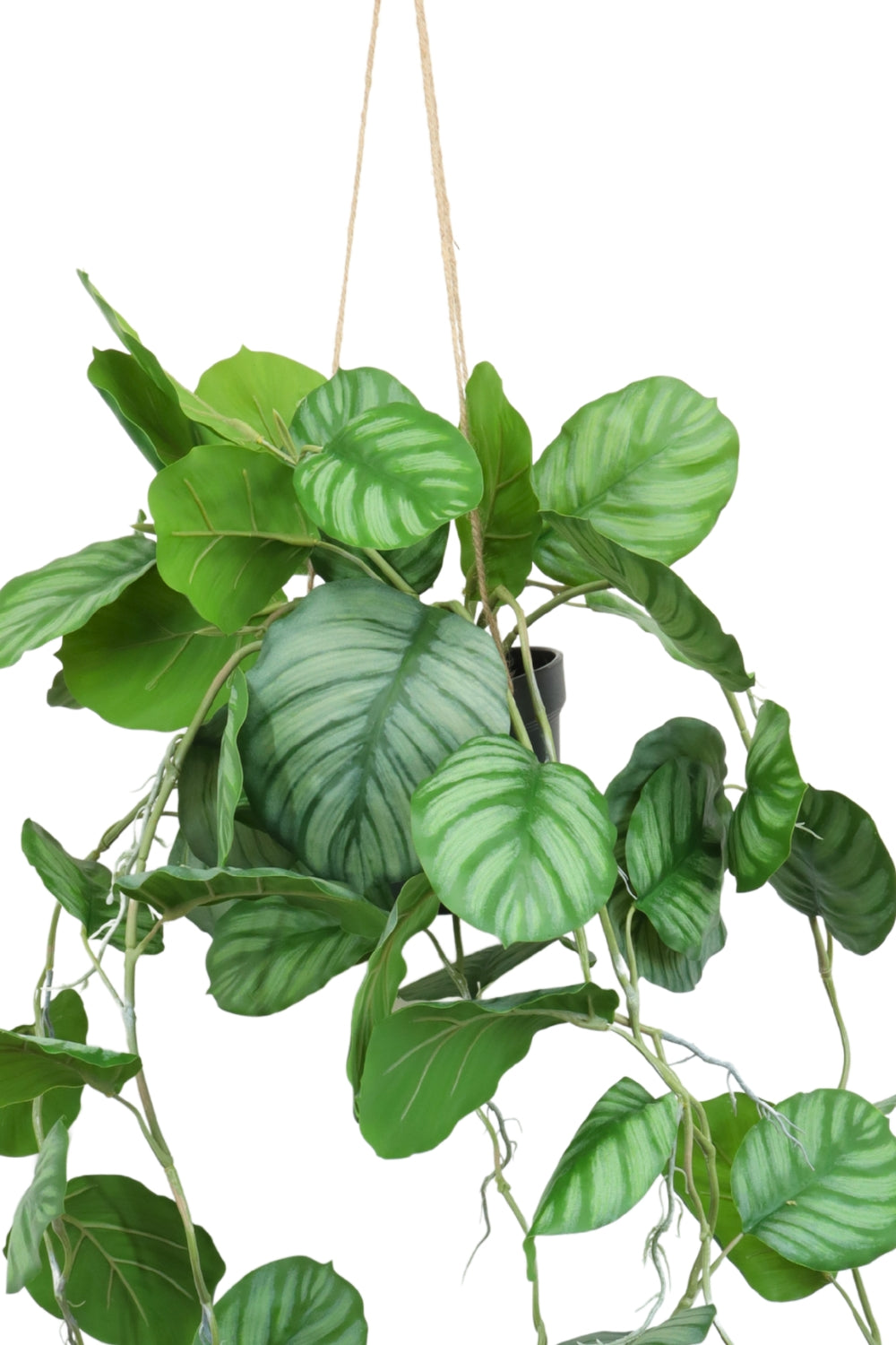 Calathea Kunst Hangplant 95cm