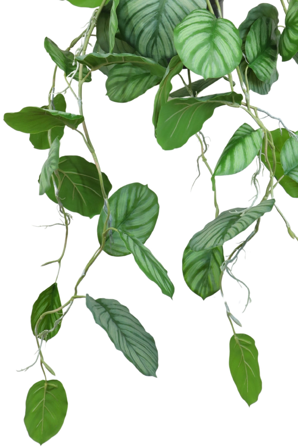 Calathea Kunst Hangplant 95cm