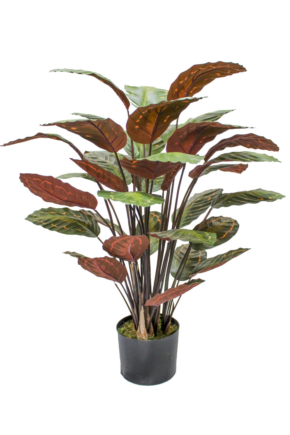 calathea kunstplant 90cm
