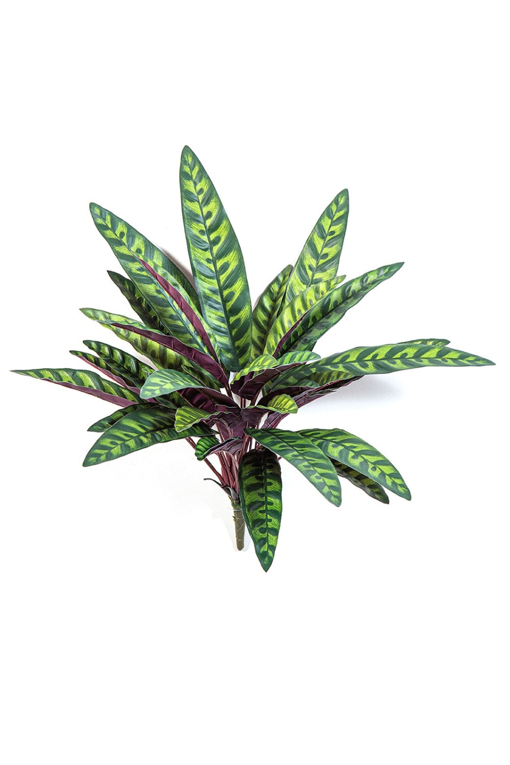 Calathea Kunststeker 40cm