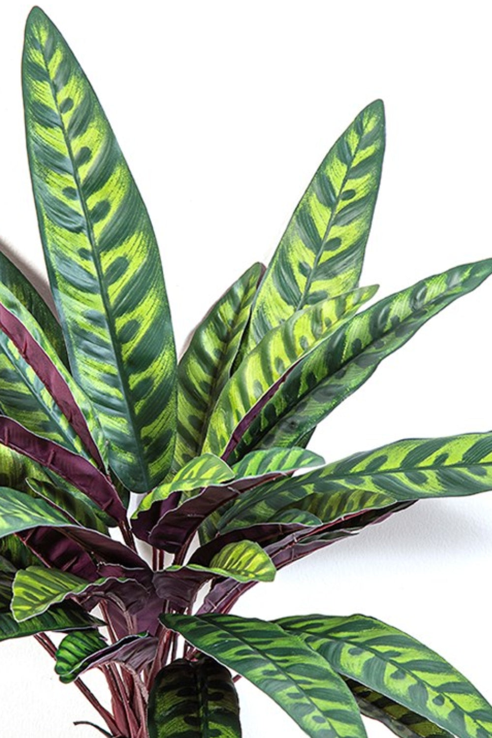 Calathea Kunststeker 40cm