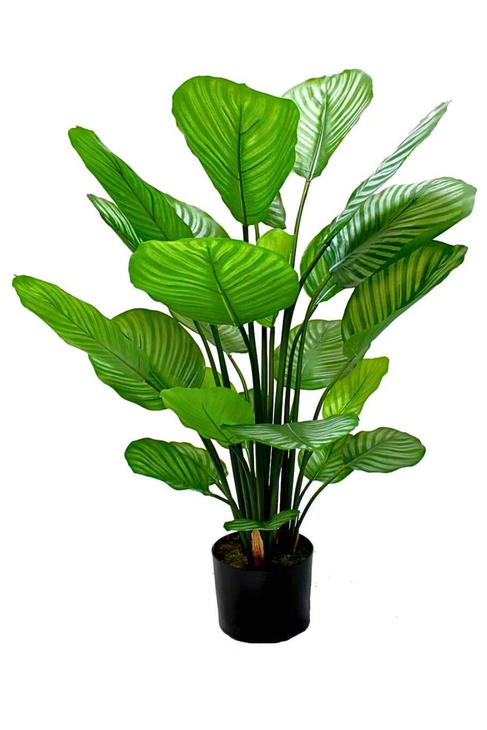 Calathea Kunstplant 80cm