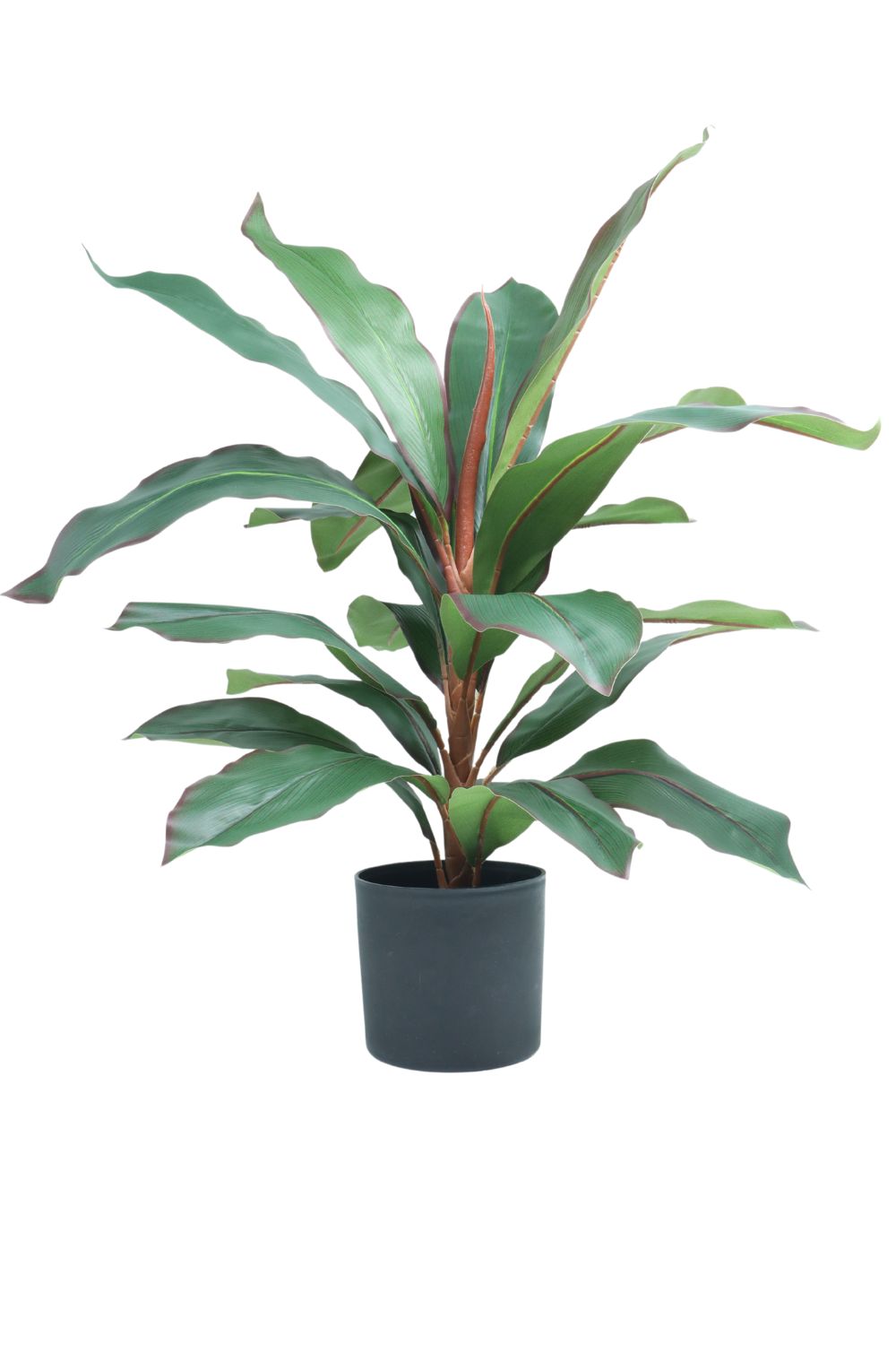 Dracaena Kunstplant 60cm - prettyplants