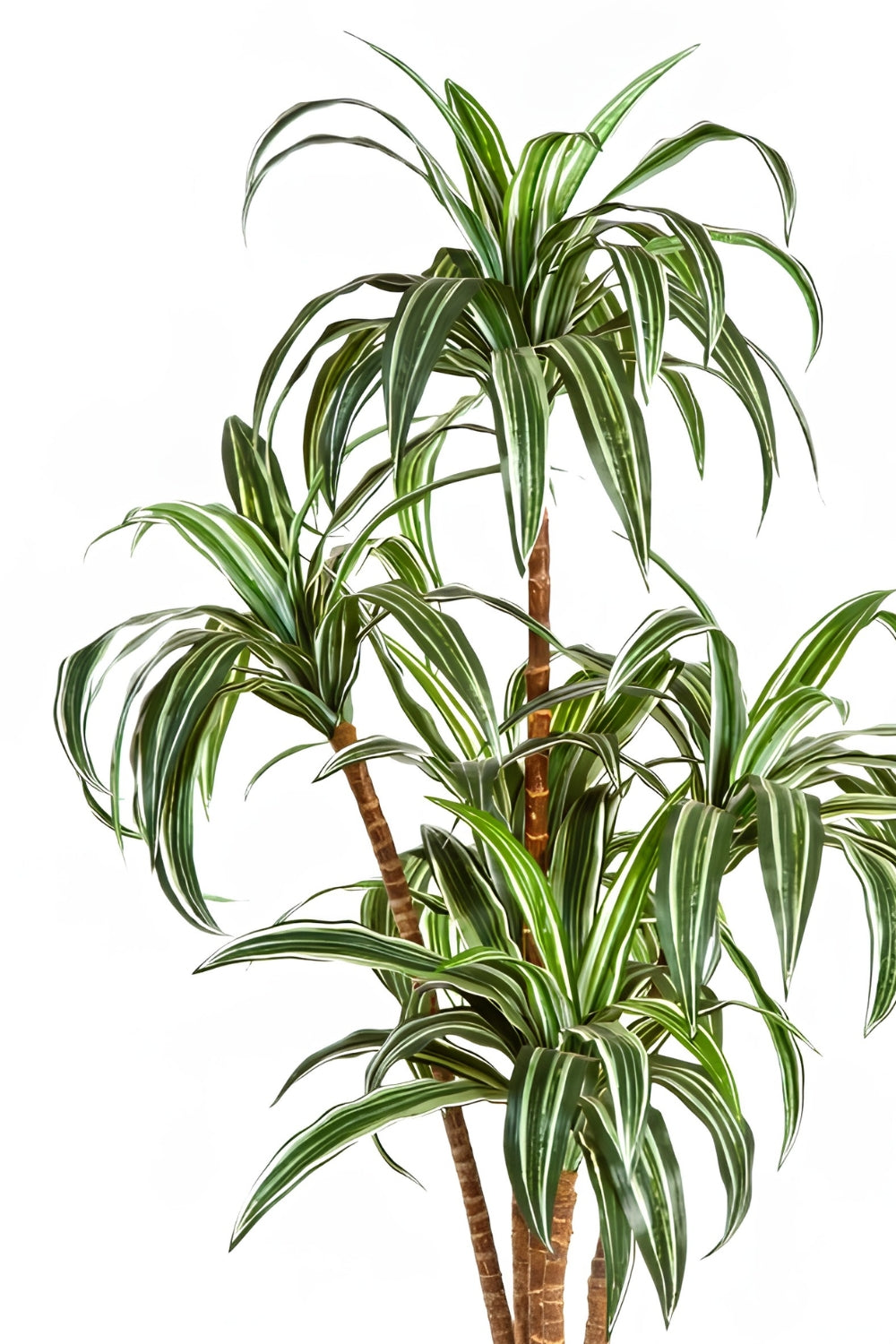Dracaena Kunstplant 150cm