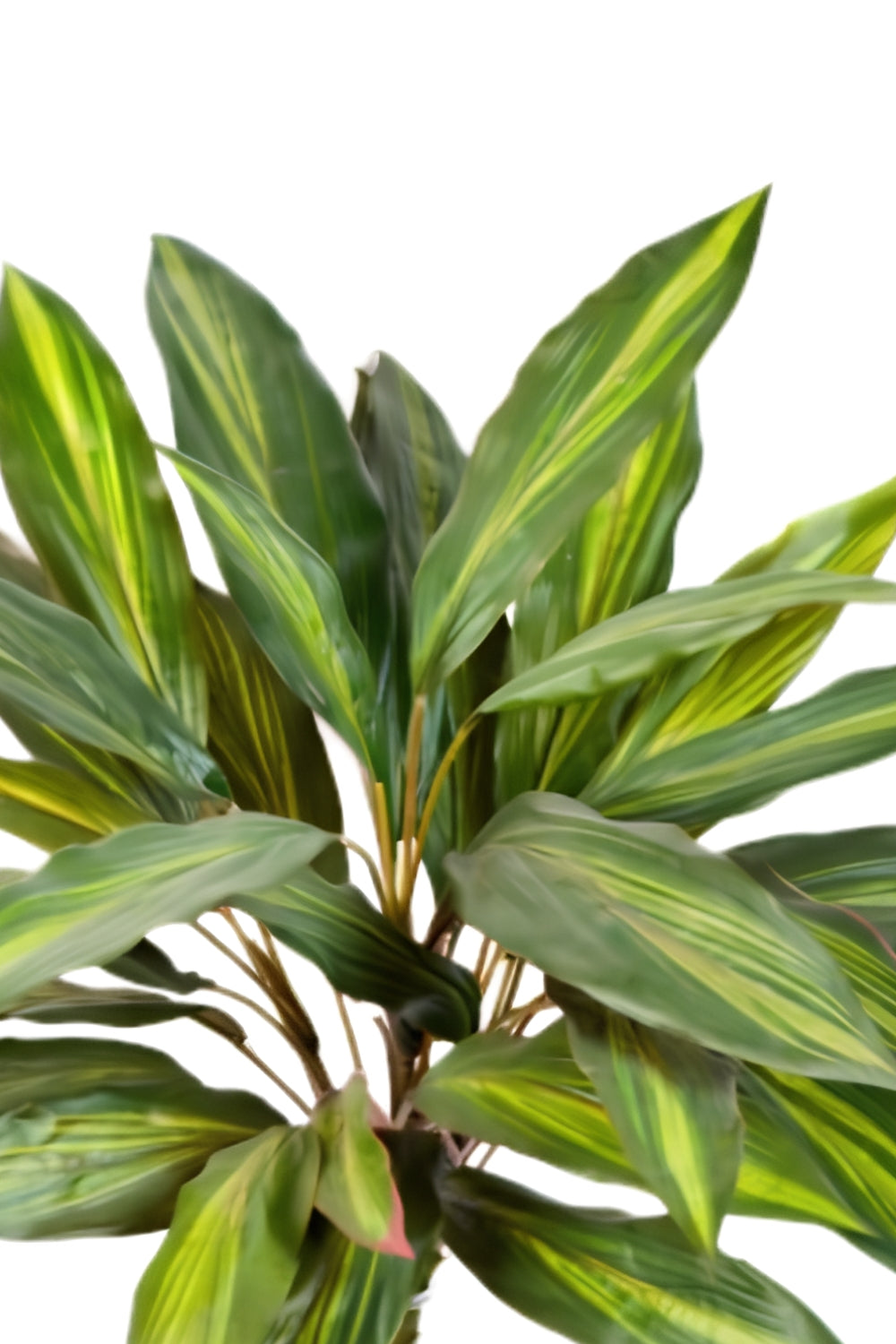 Dracaena Kunststeker 48cm