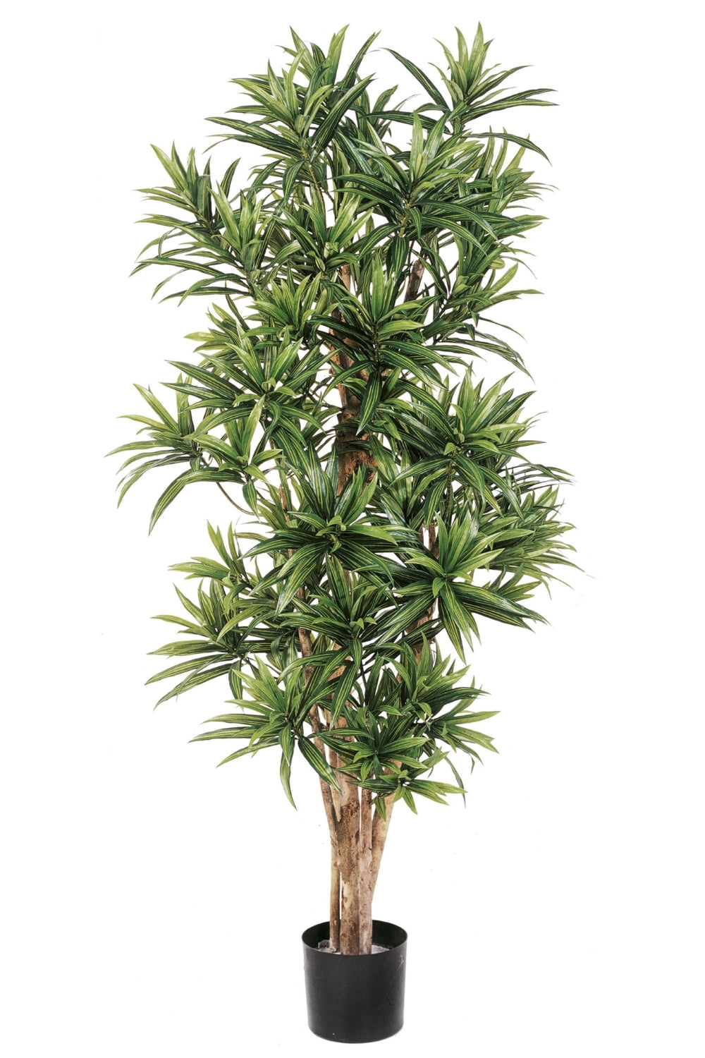 Dracaena Reflexa Kunstplant 150cm