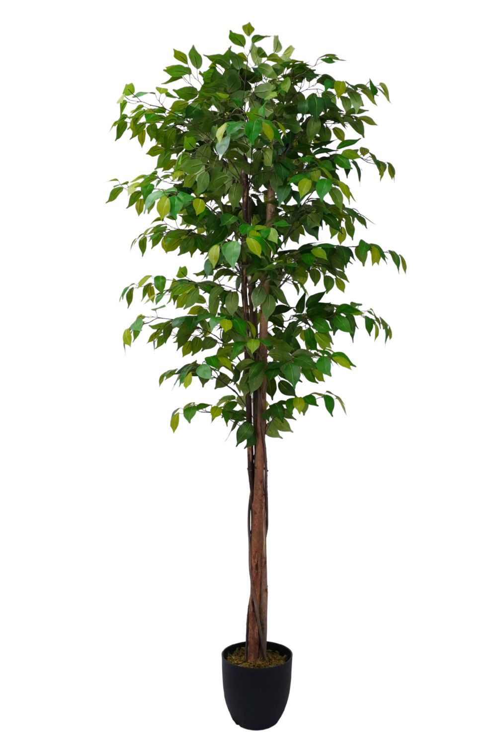 Ficus Kunstplant 180cm