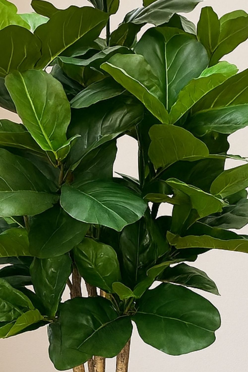 Ficus Kunstplant 180cm
