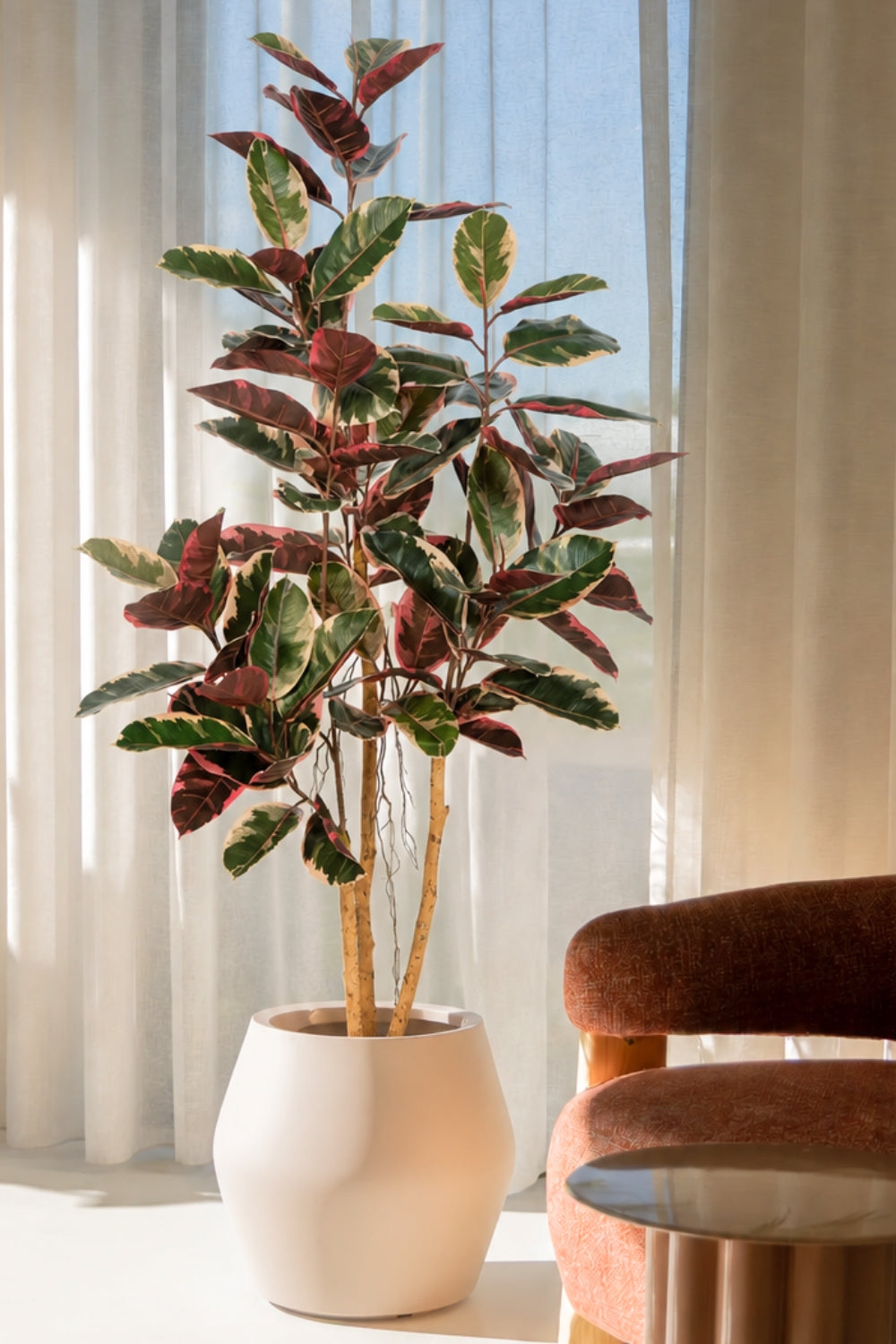 Ficus Kunstplant Elastica 170cm Ruby