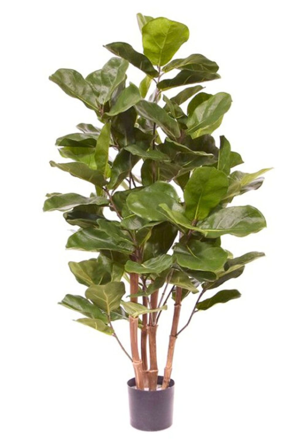 Ficus Kunstplant 120cm