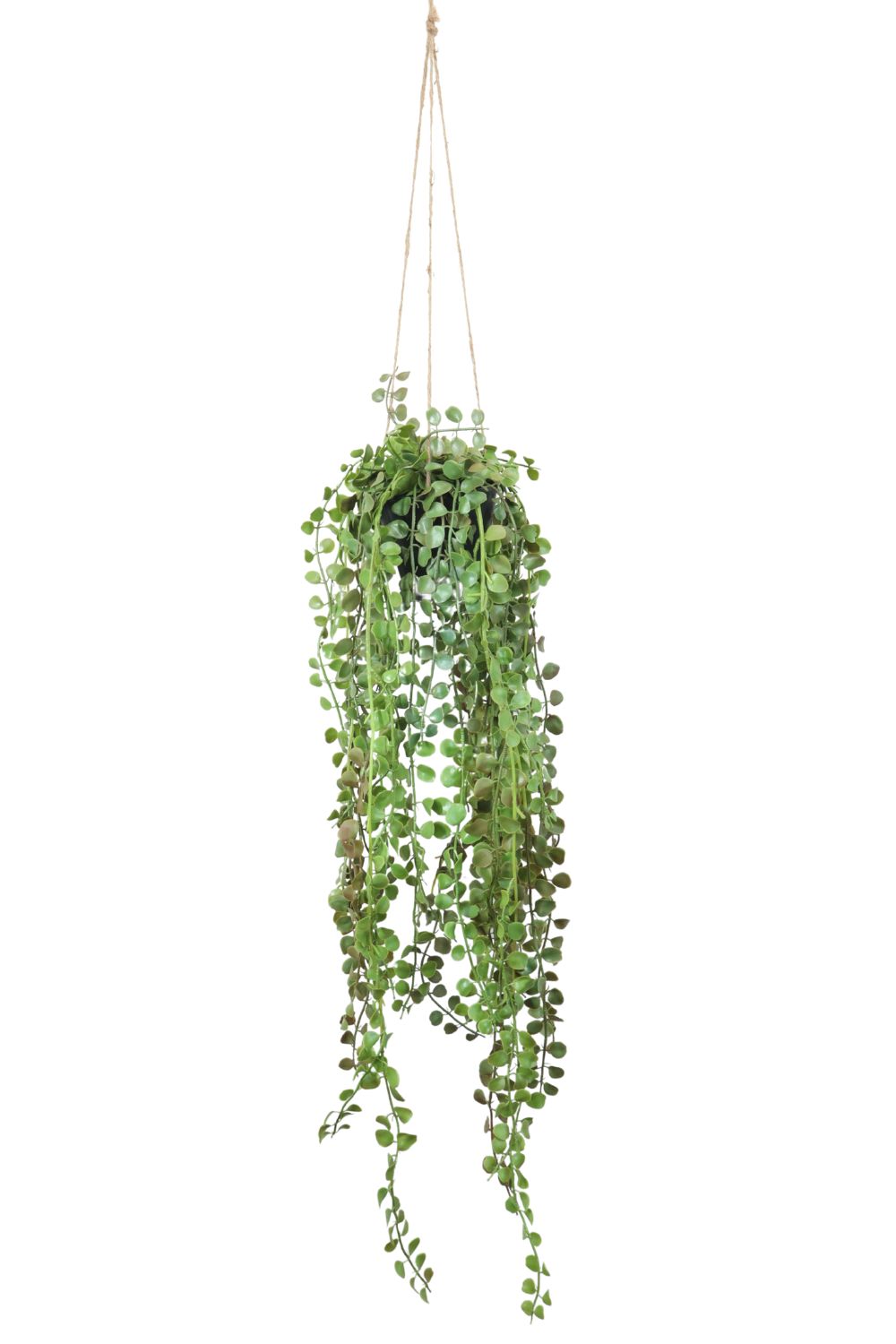 Ficus Pumilla Kunst Hangplant 70cm - prettyplants