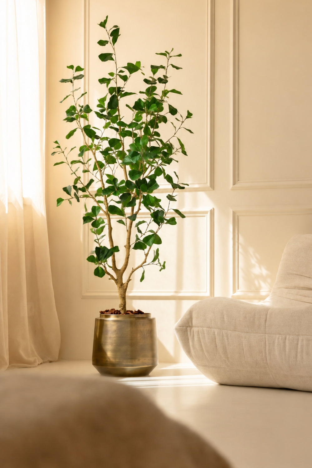 Pre-order Ficus Triangularis Kunstplant 150cm