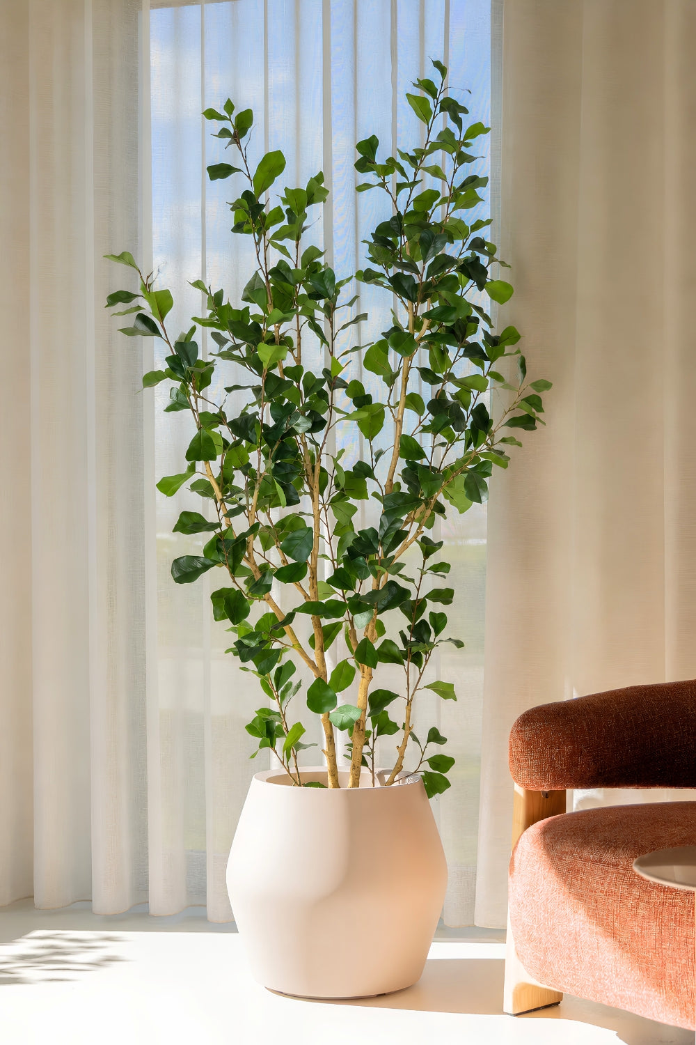 Pre-order Ficus Triangularis Kunstplant 180cm
