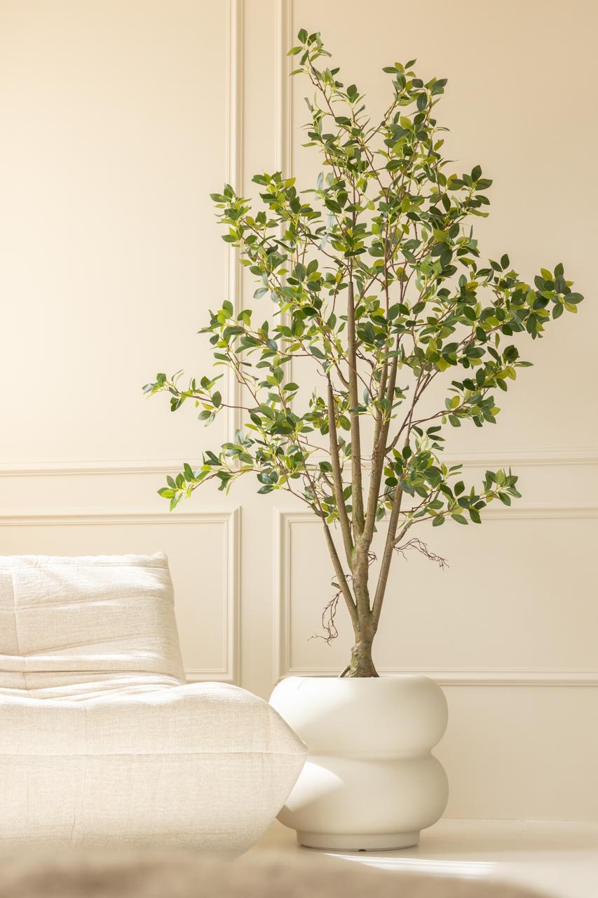 Ficus Kunstplant 180cm