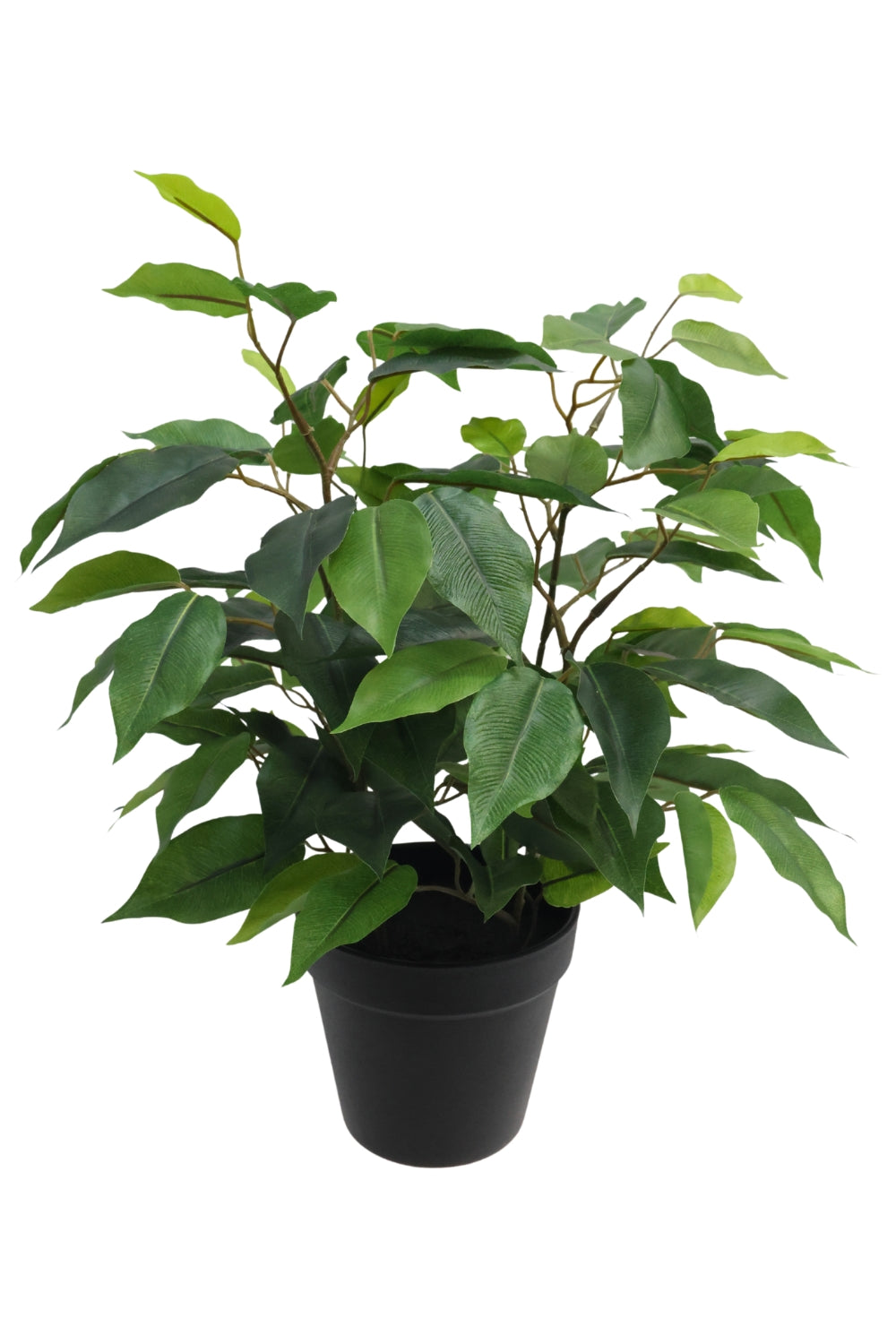 Ficus Kunstplant 40cm
