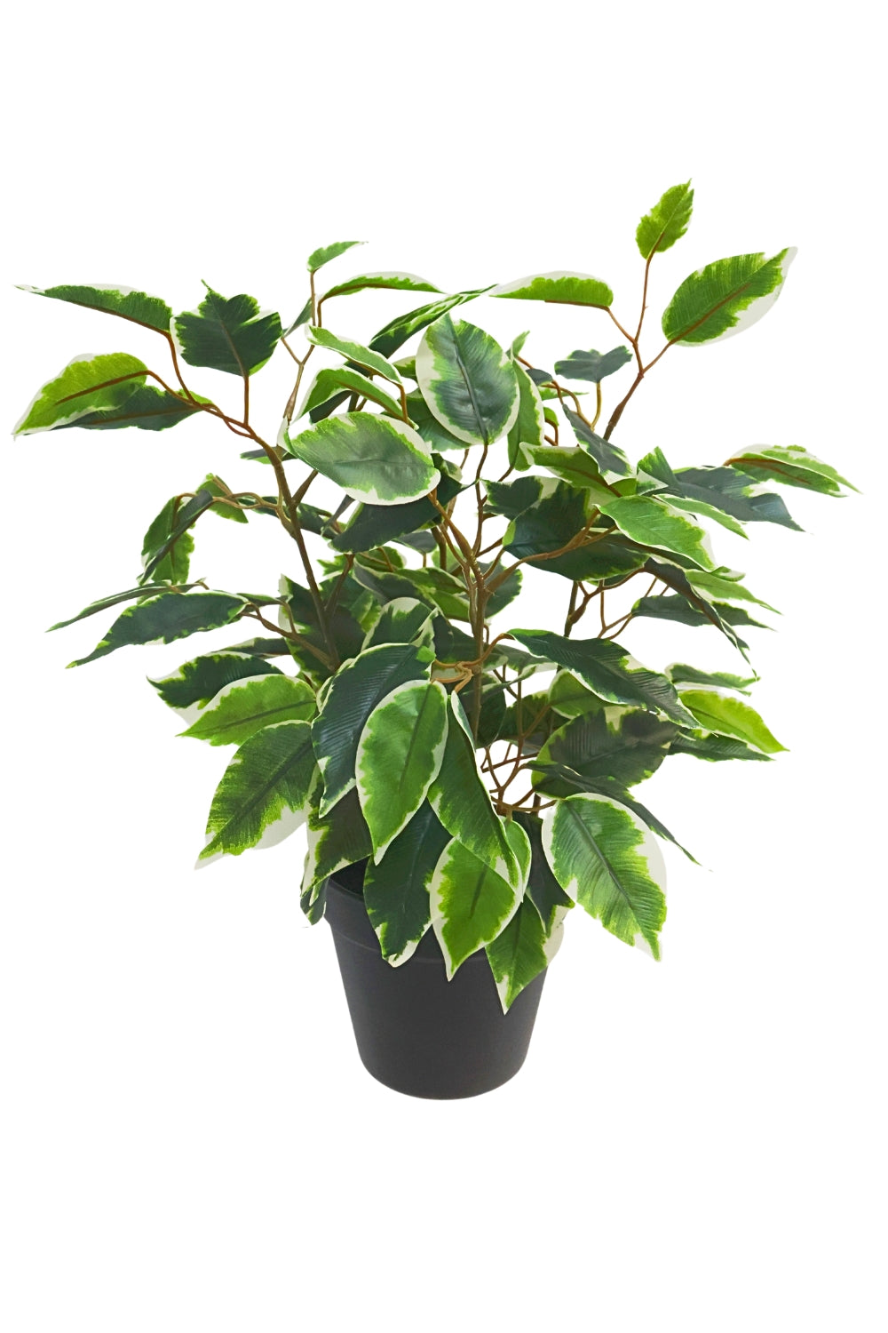 Ficus Kunstplant 40cm