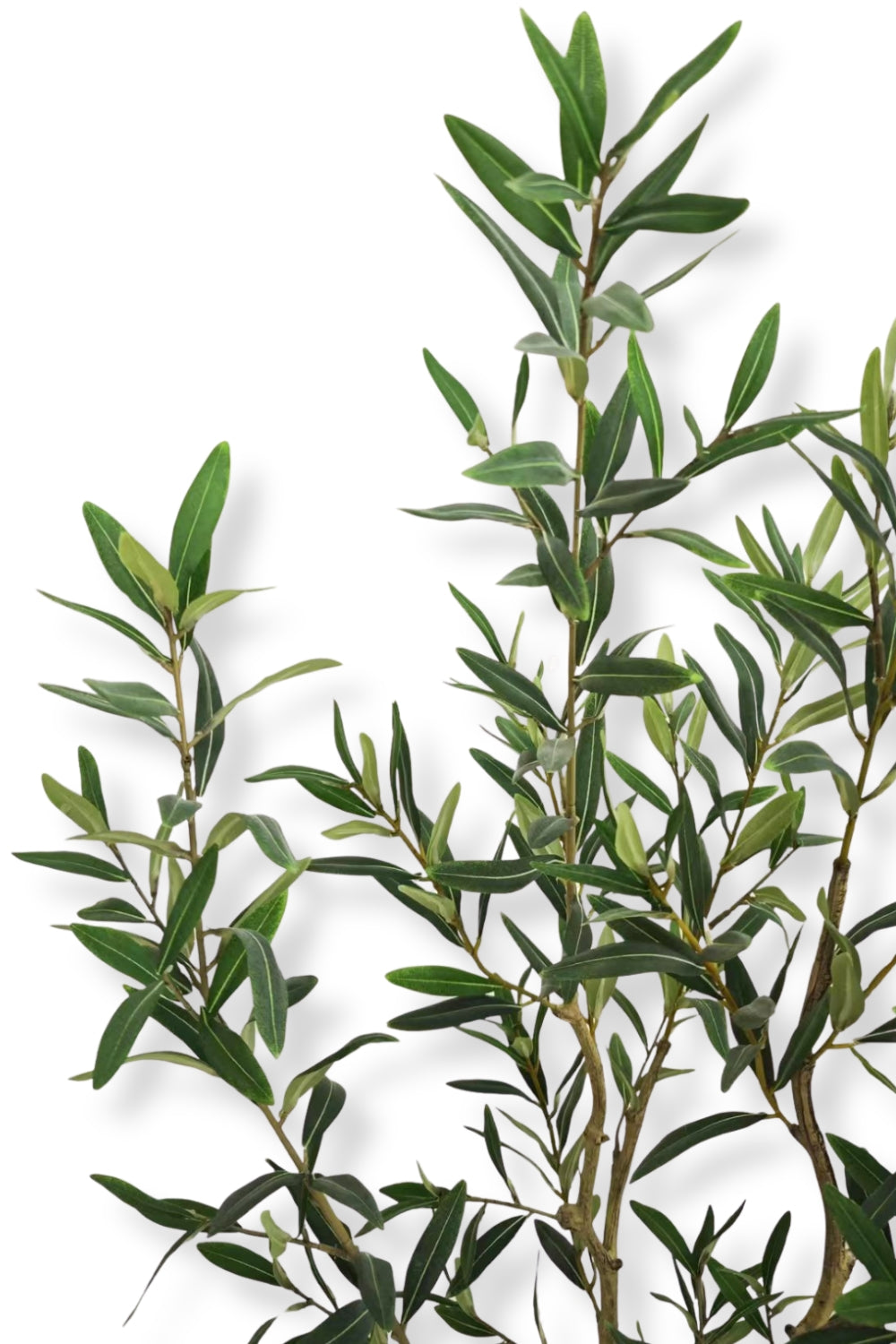 Pre-order Kunst Olijfboom 120cm