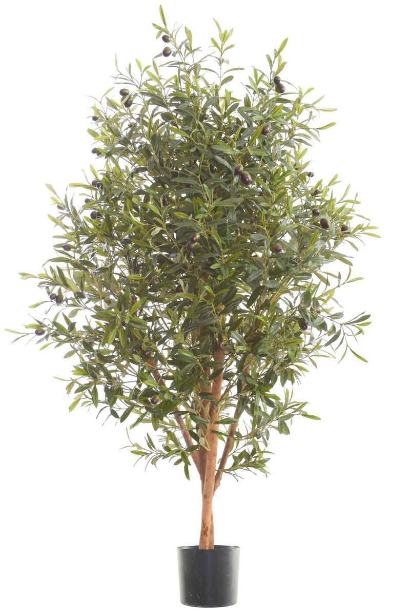 VIAGDO Kunstmatige olijfboom 1,8 m hoge nep ingemaakte olijfzijden boom met plantenbak grote faux olijftakken en vruchten kunstmatige boom voor thuiskantoor woonkamer decoratie binnen, 1176 bladeren VIAGDO Kunstmatige olijfboom 1,8 m hoge nep ingemaakte olijfzijden boom met plantenbak grote faux olijftakken en vruchten kunstmatige boom voor thuiskantoor woonkamer decoratie binnen, 1176 bladeren