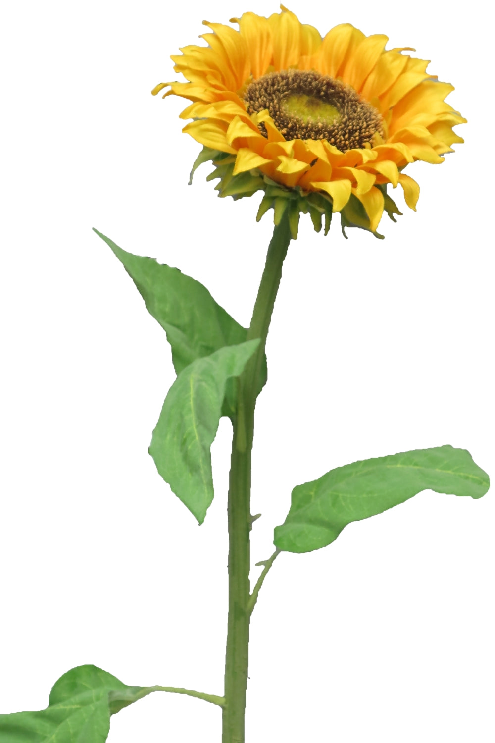 Kunst Zonnebloem 77cm