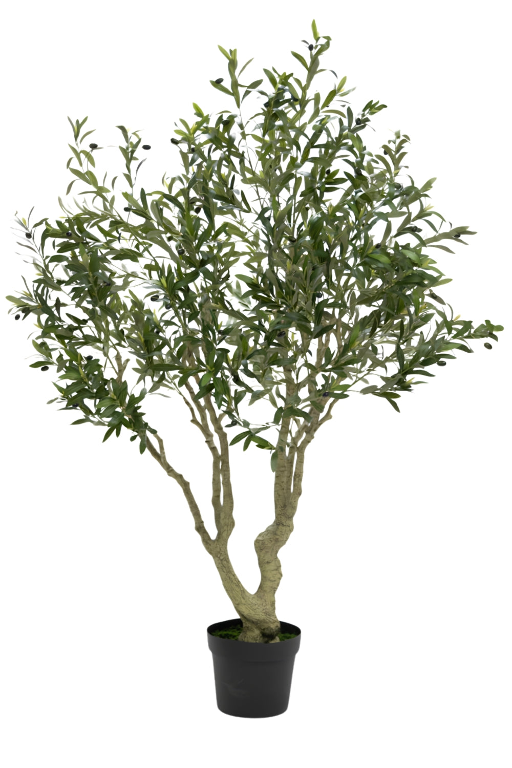 Kunst Olijfboom 190cm