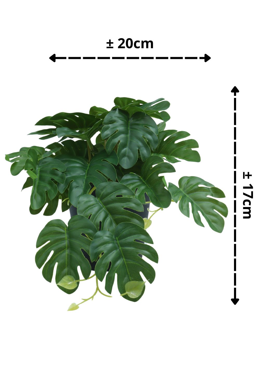 Monstera Kunstplant 17cm