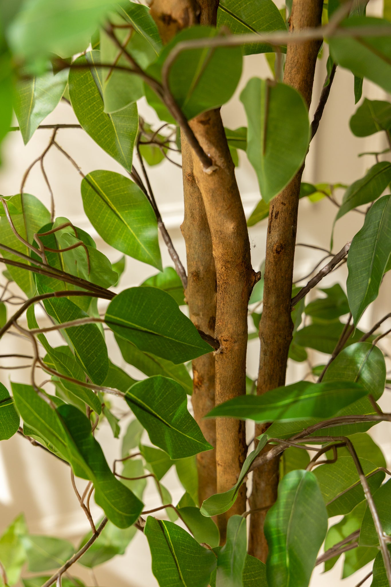 Ficus Kunstplant 180cm