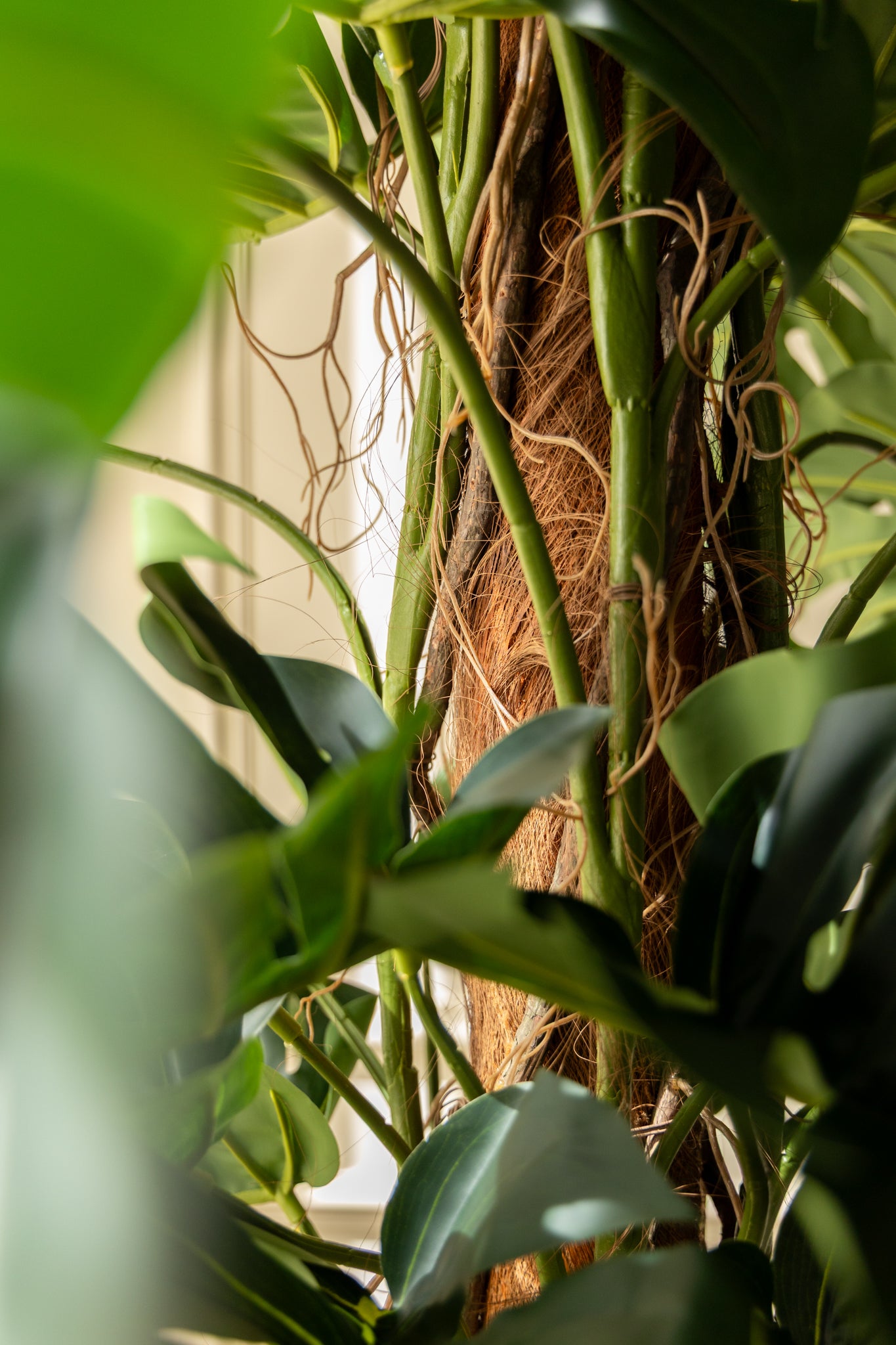 Monstera Kunstplant 180cm