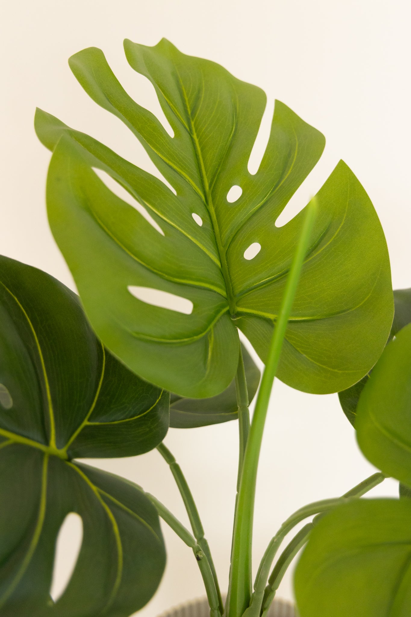 Monstera Kunstplant 60cm