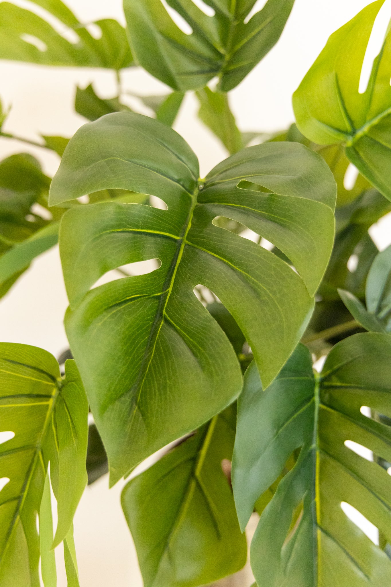 Monstera Kunstplant 65cm