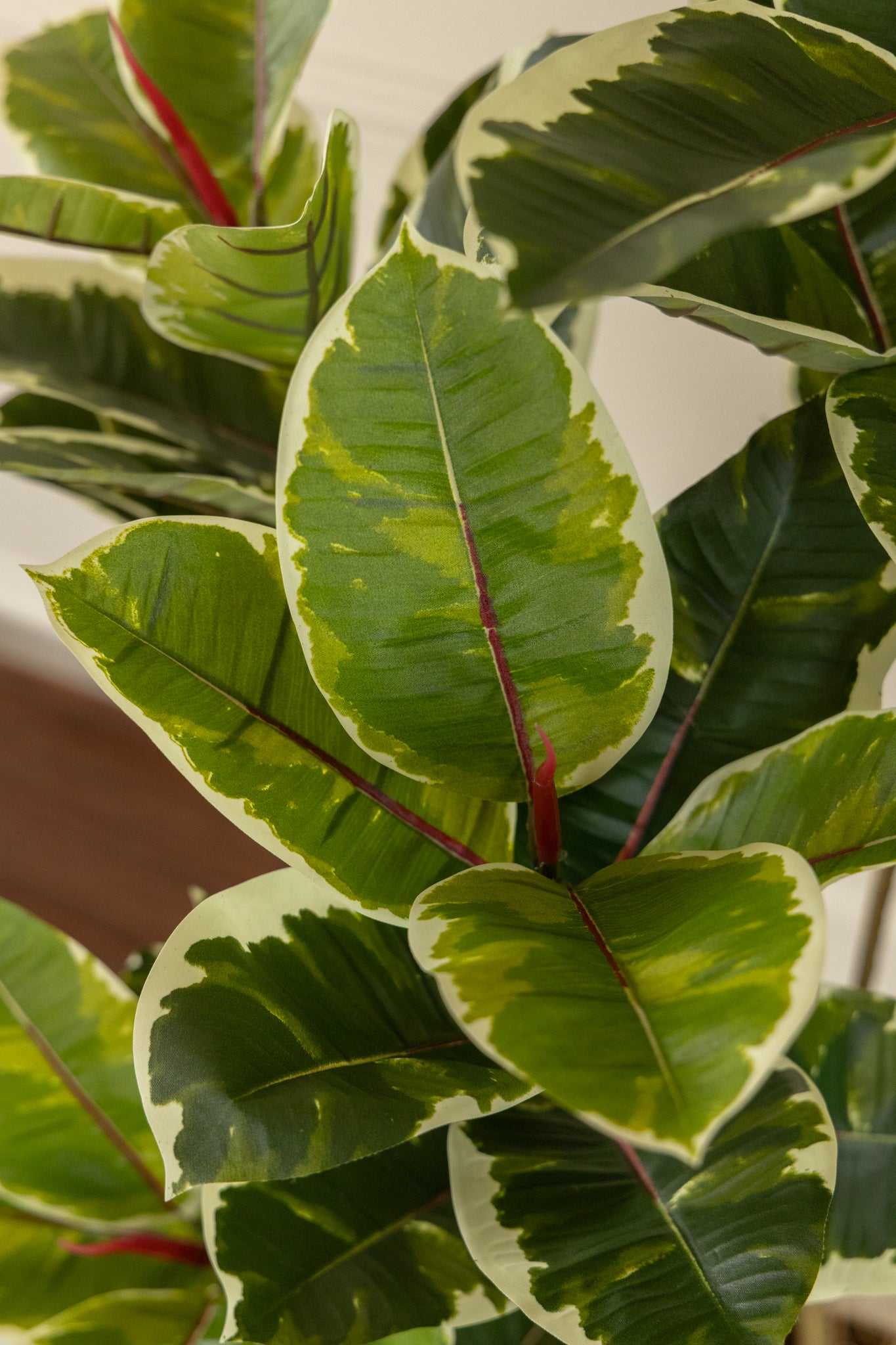 Ficus Kunstplant 120cm