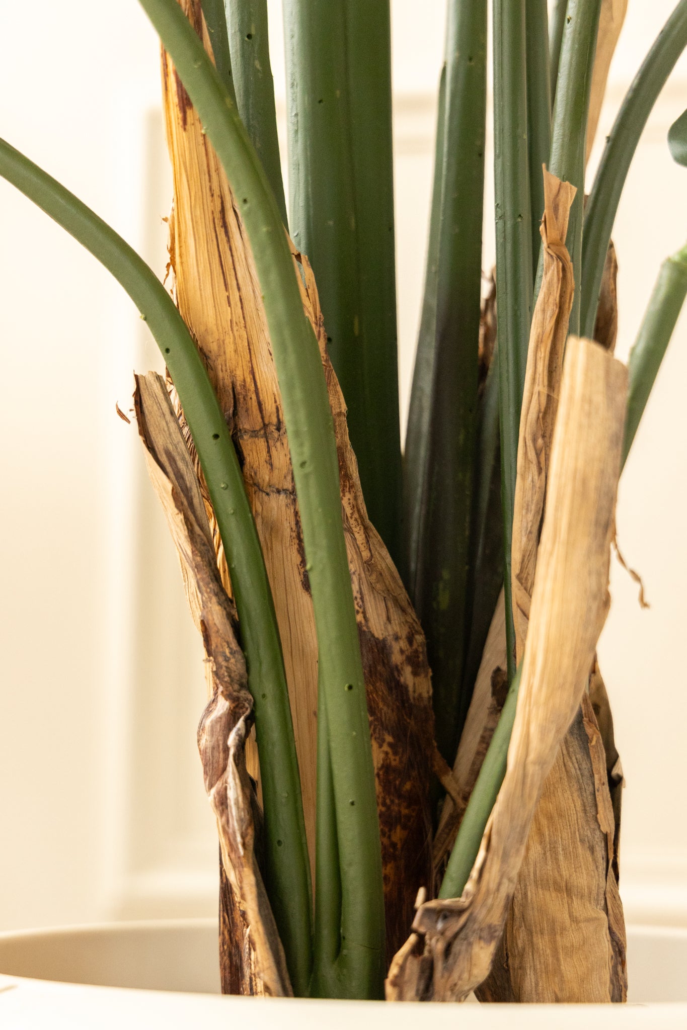 Strelitzia Kunstplant 210cm