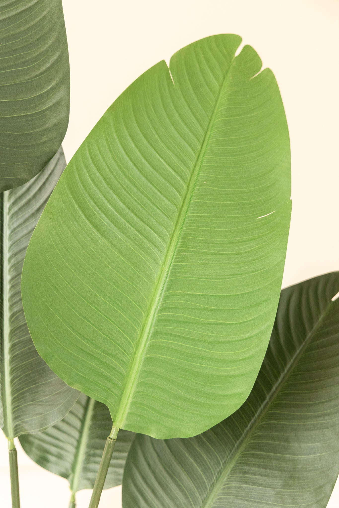 Strelitzia Kunstplant 210cm