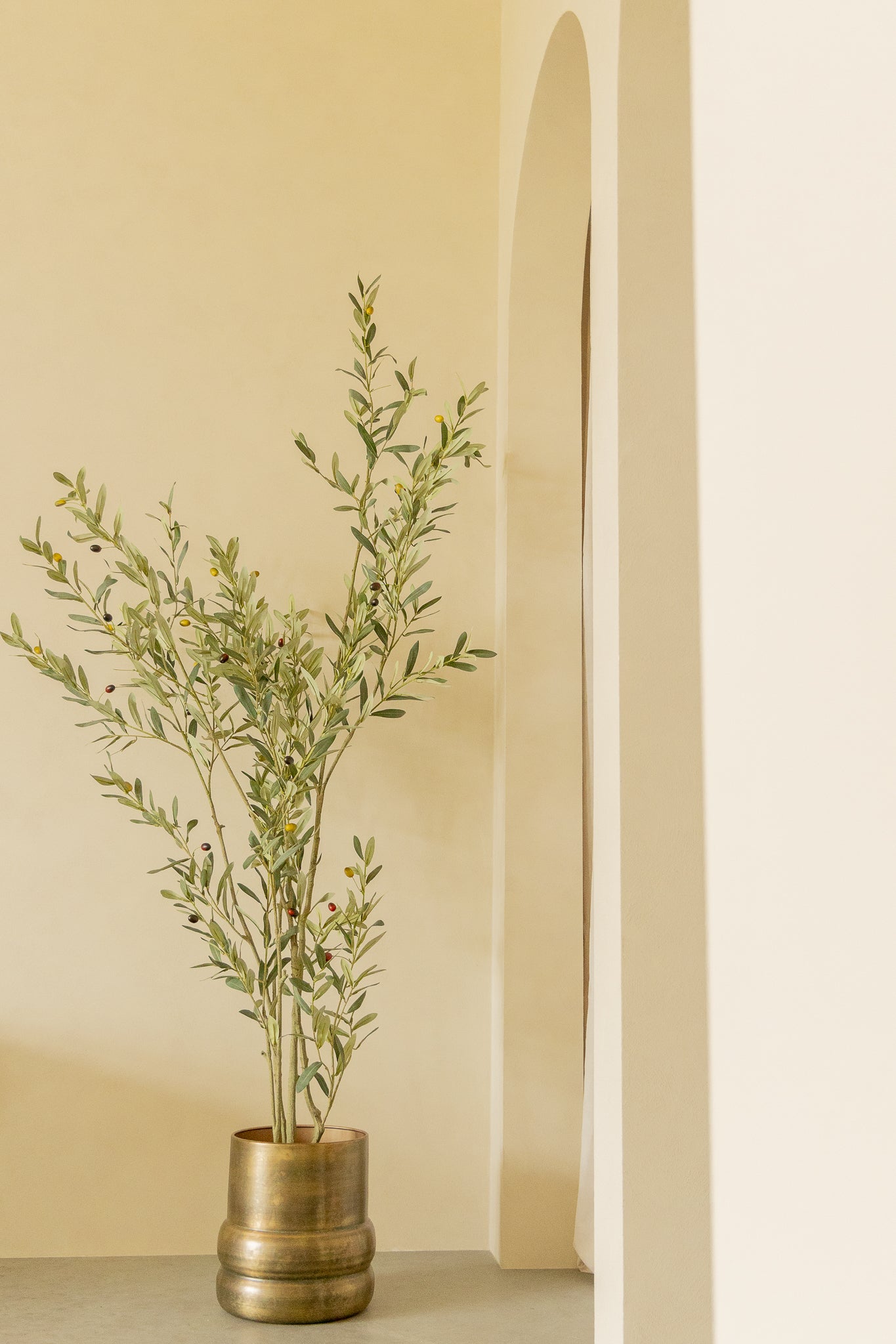 Kunst Olijfboom 210cm