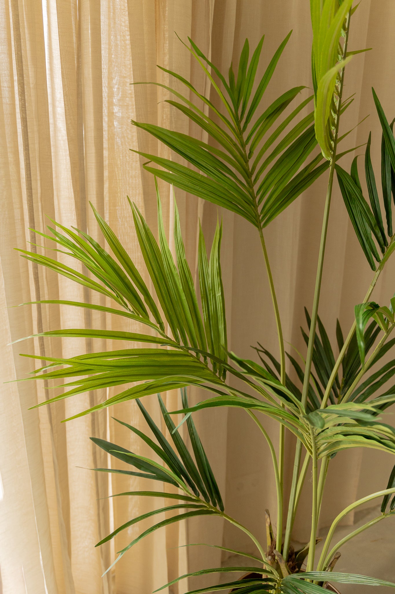 Kentia Kunstpalm 180cm