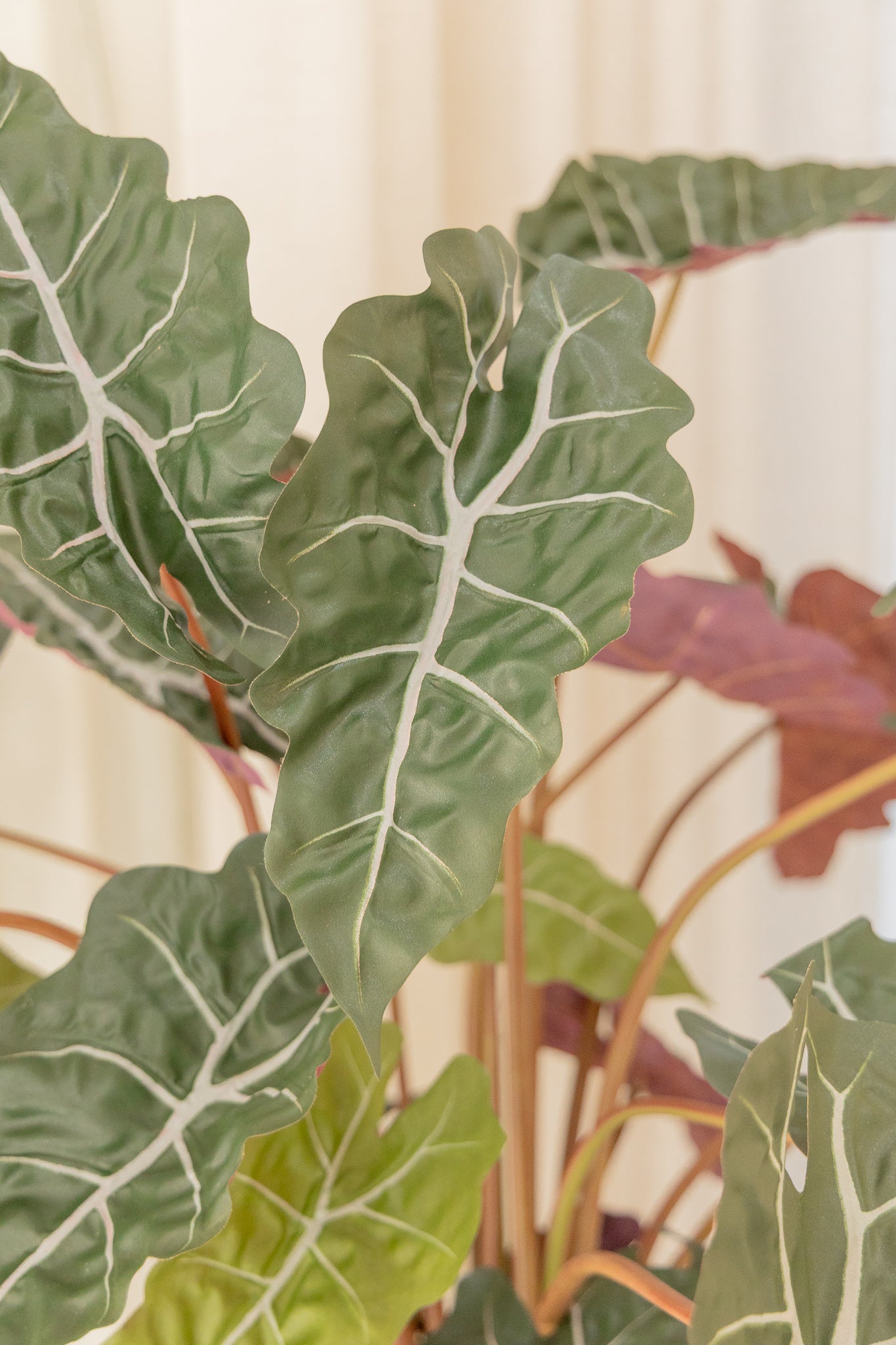 Alocasia Kunstplant 80cm