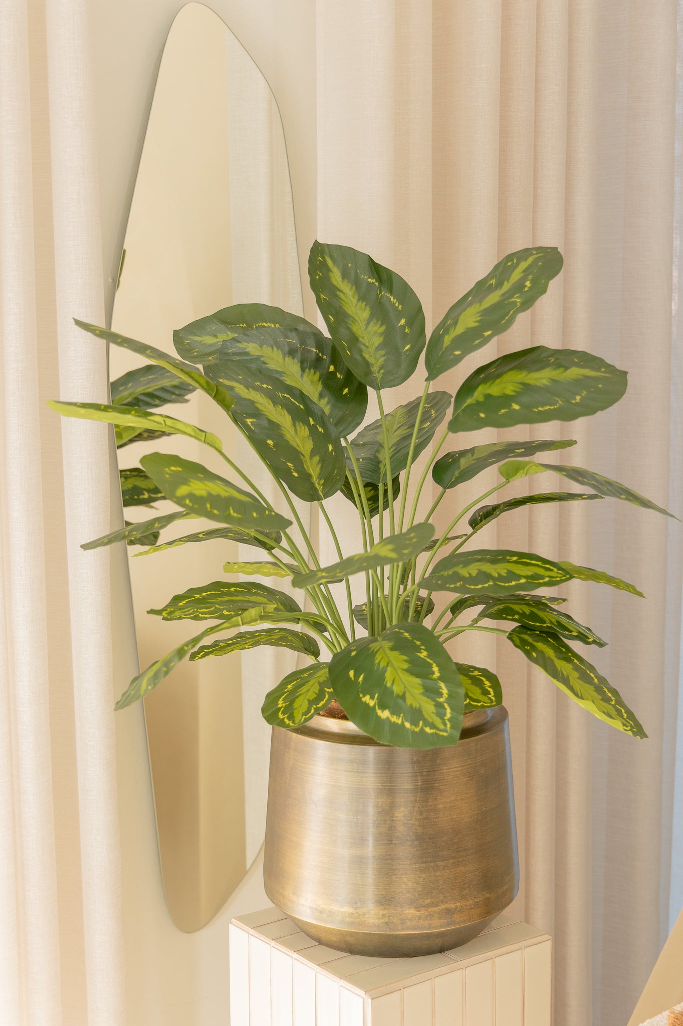 Calathea Kunstplant 70cm